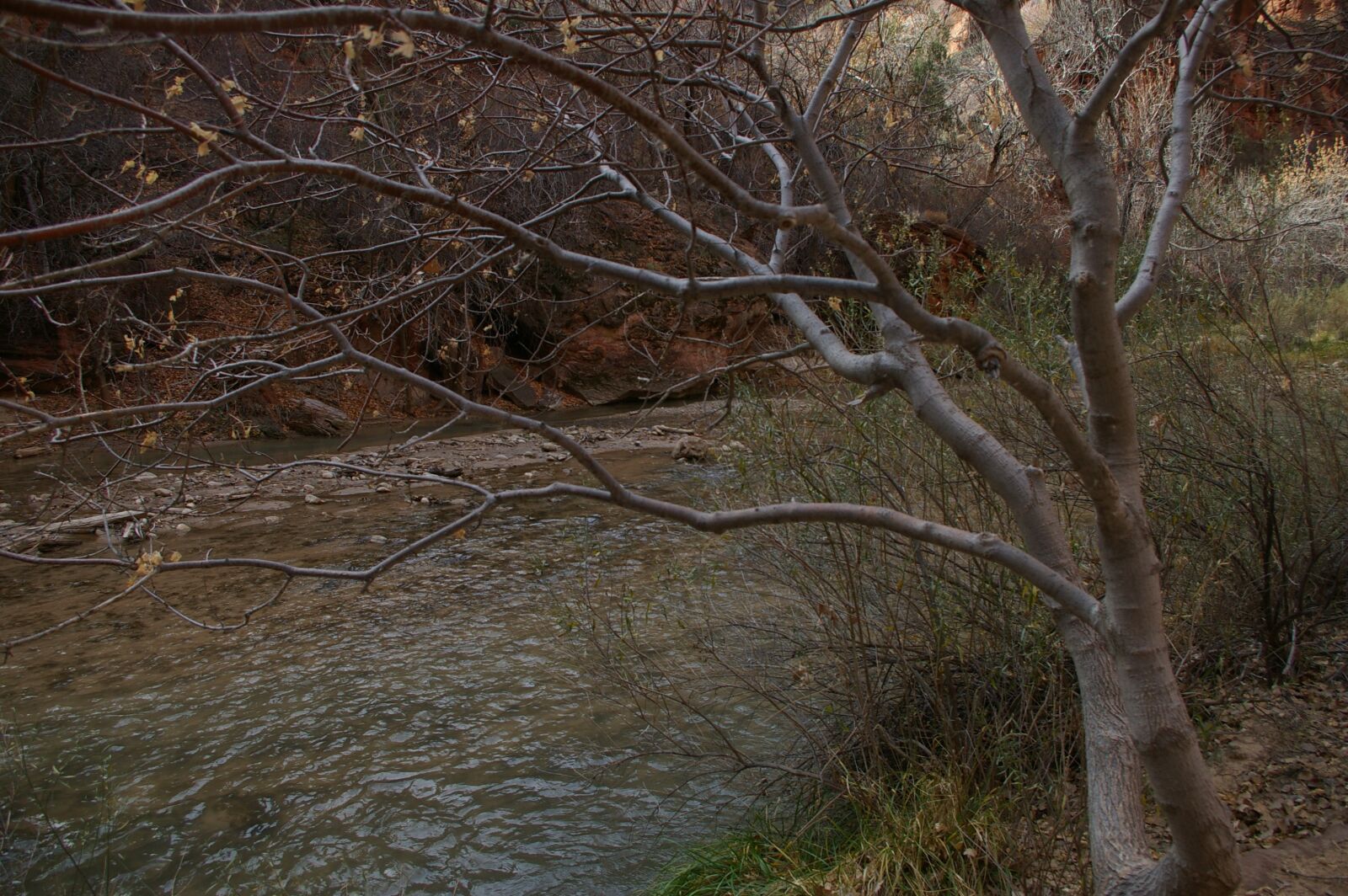 Pentax K100D Super sample photo. Creek, stream, water photography