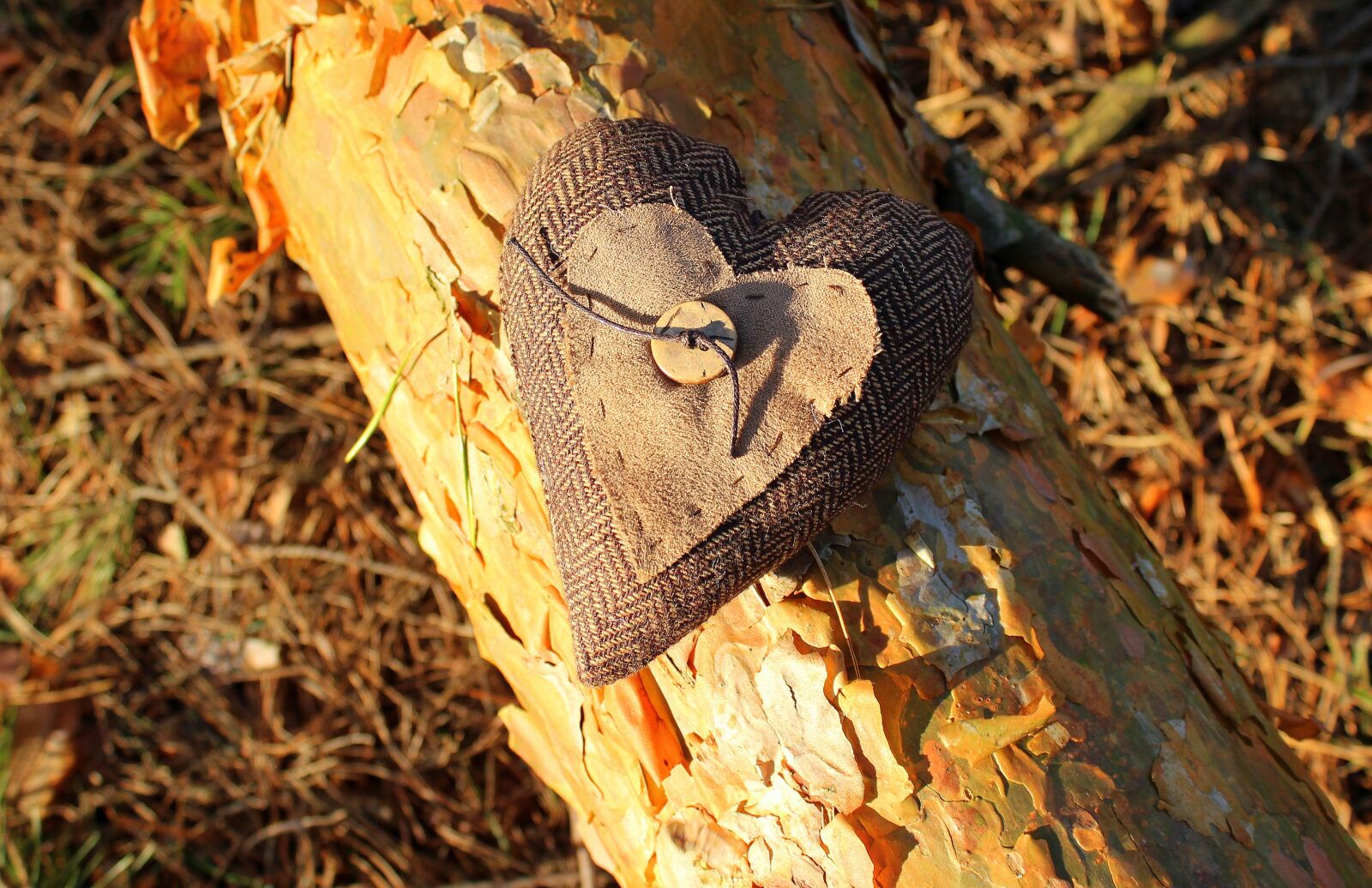 Canon EOS 1200D (EOS Rebel T5 / EOS Kiss X70 / EOS Hi) sample photo. Heart, valentine's day, emotions photography