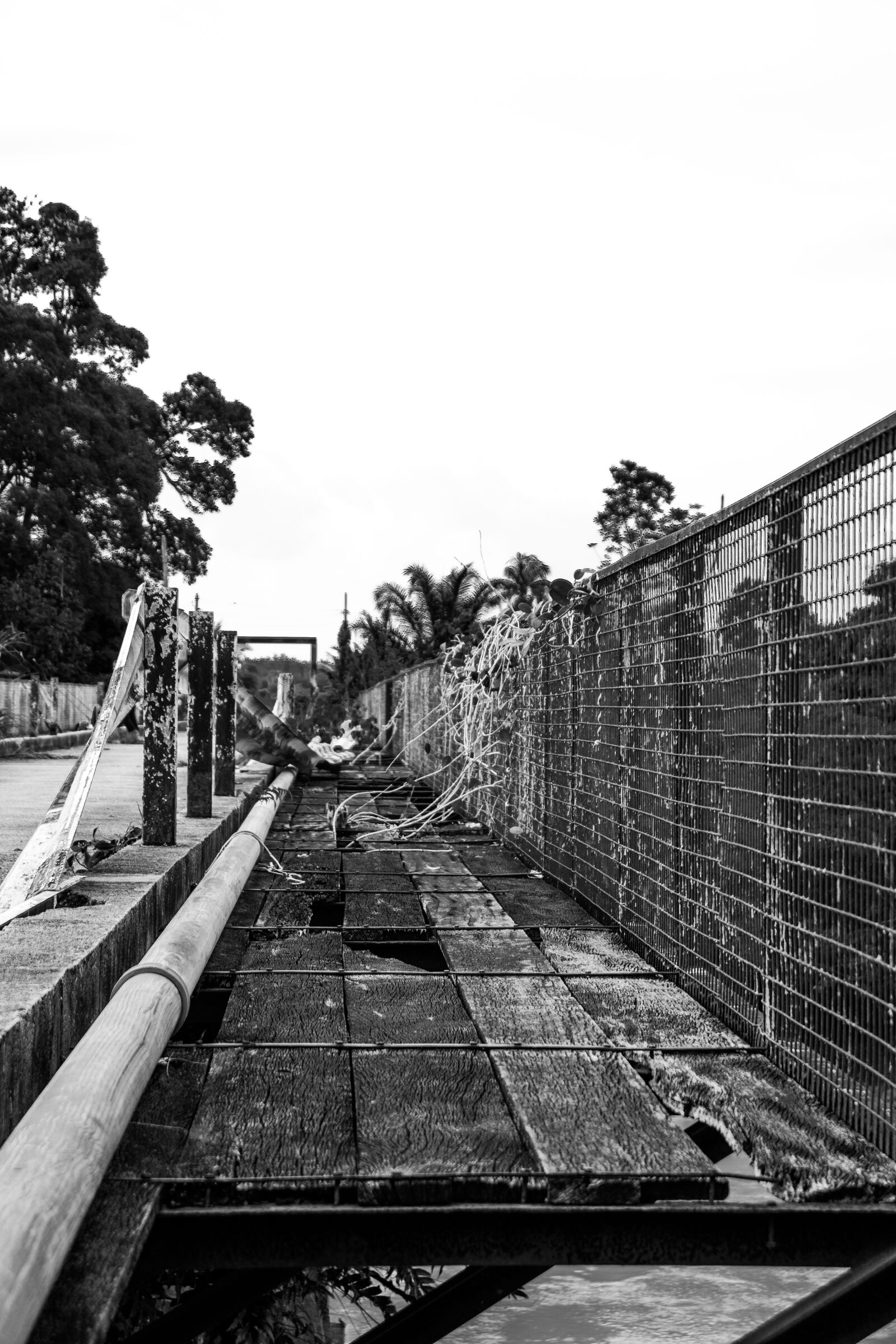 Canon EOS 77D (EOS 9000D / EOS 770D) sample photo. Architecture, bridge, river photography