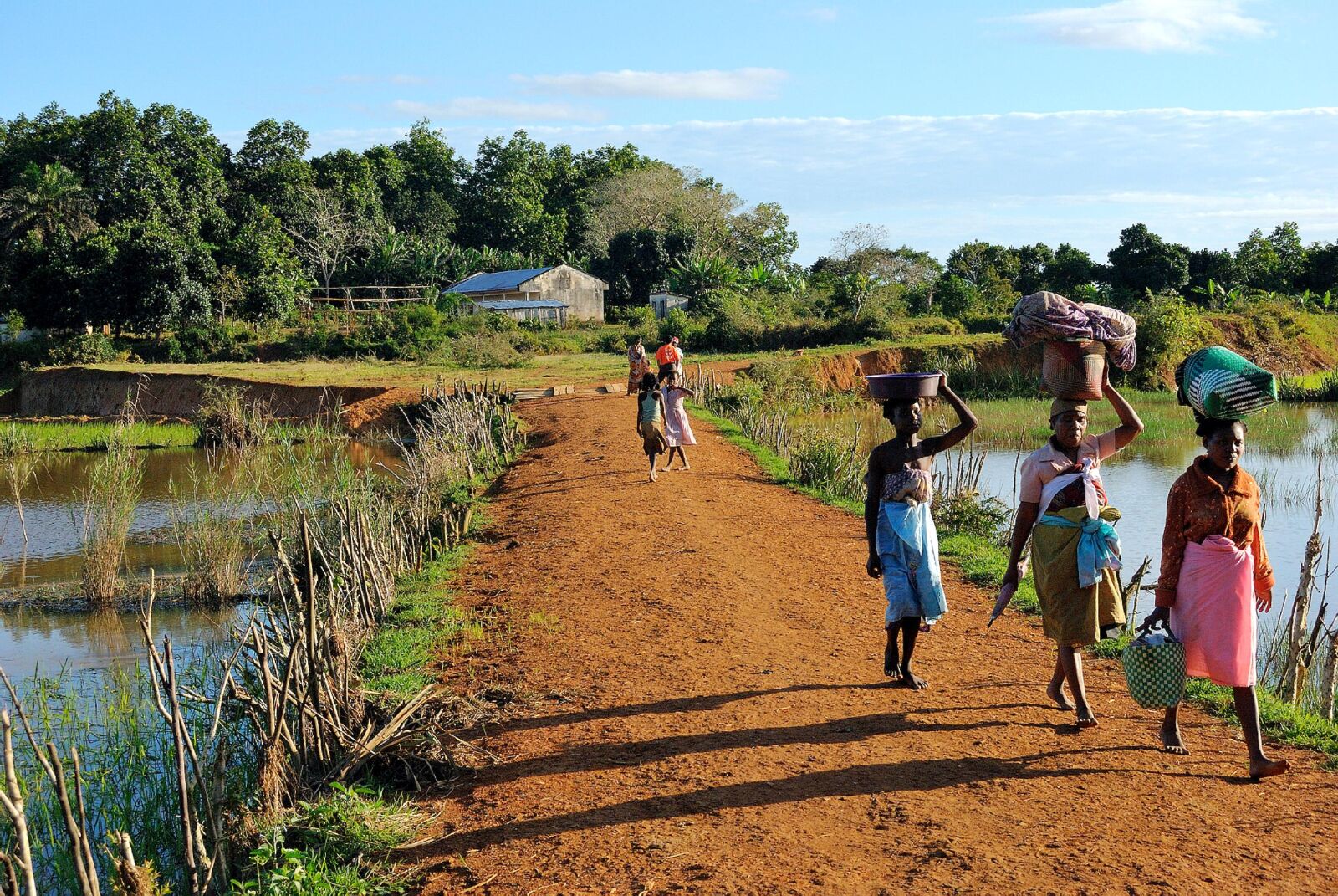 Nikon D60 sample photo. Madagascar, people, working photography
