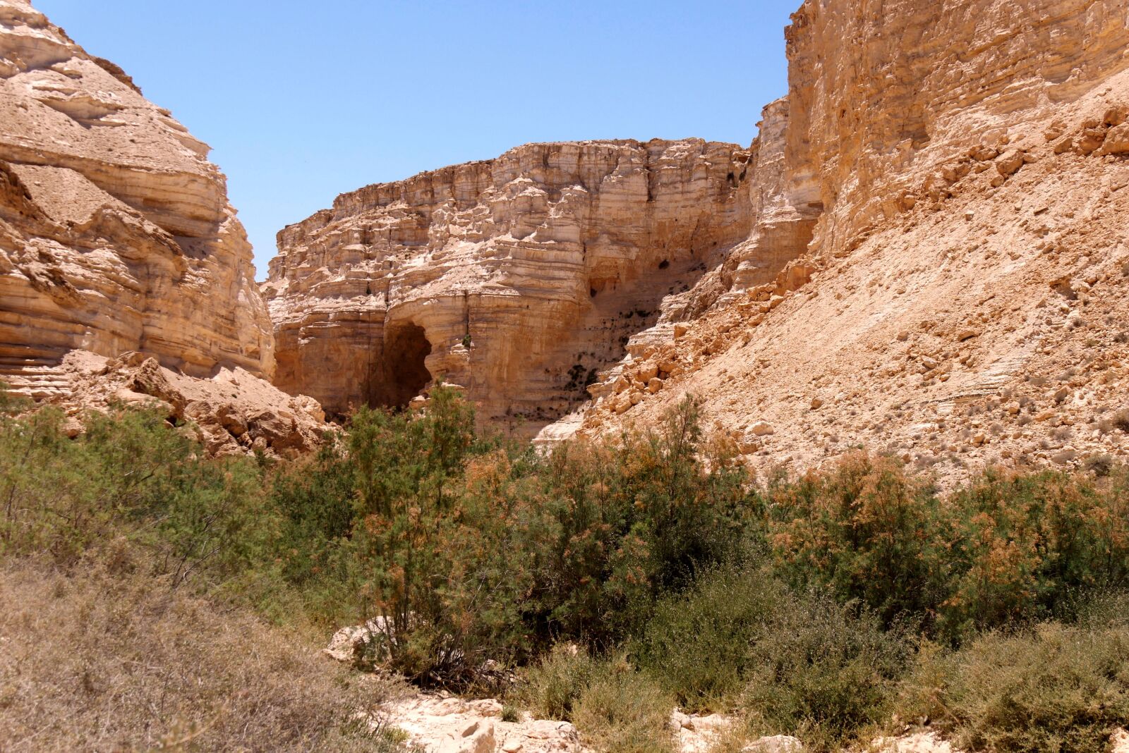 Panasonic Lumix DMC-G85 (Lumix DMC-G80) sample photo. Israel, desert, landscape photography