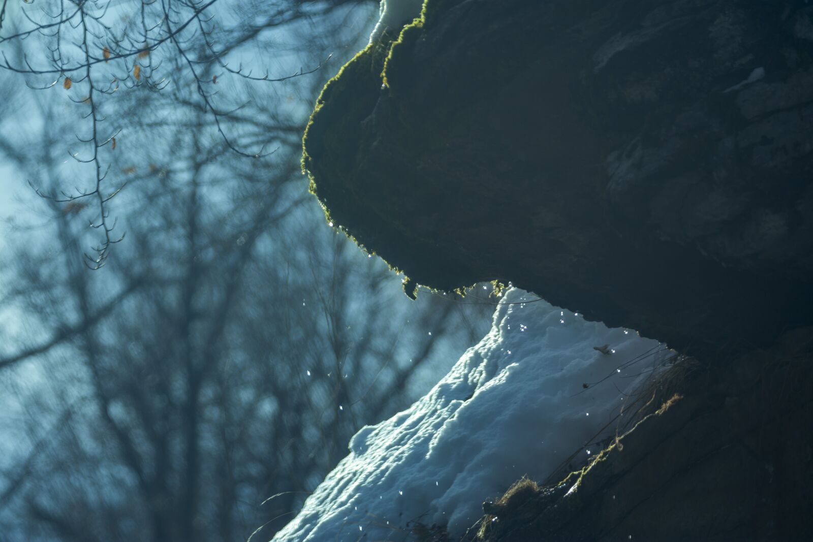 Nikon D7200 sample photo. Snow, winter, trees photography