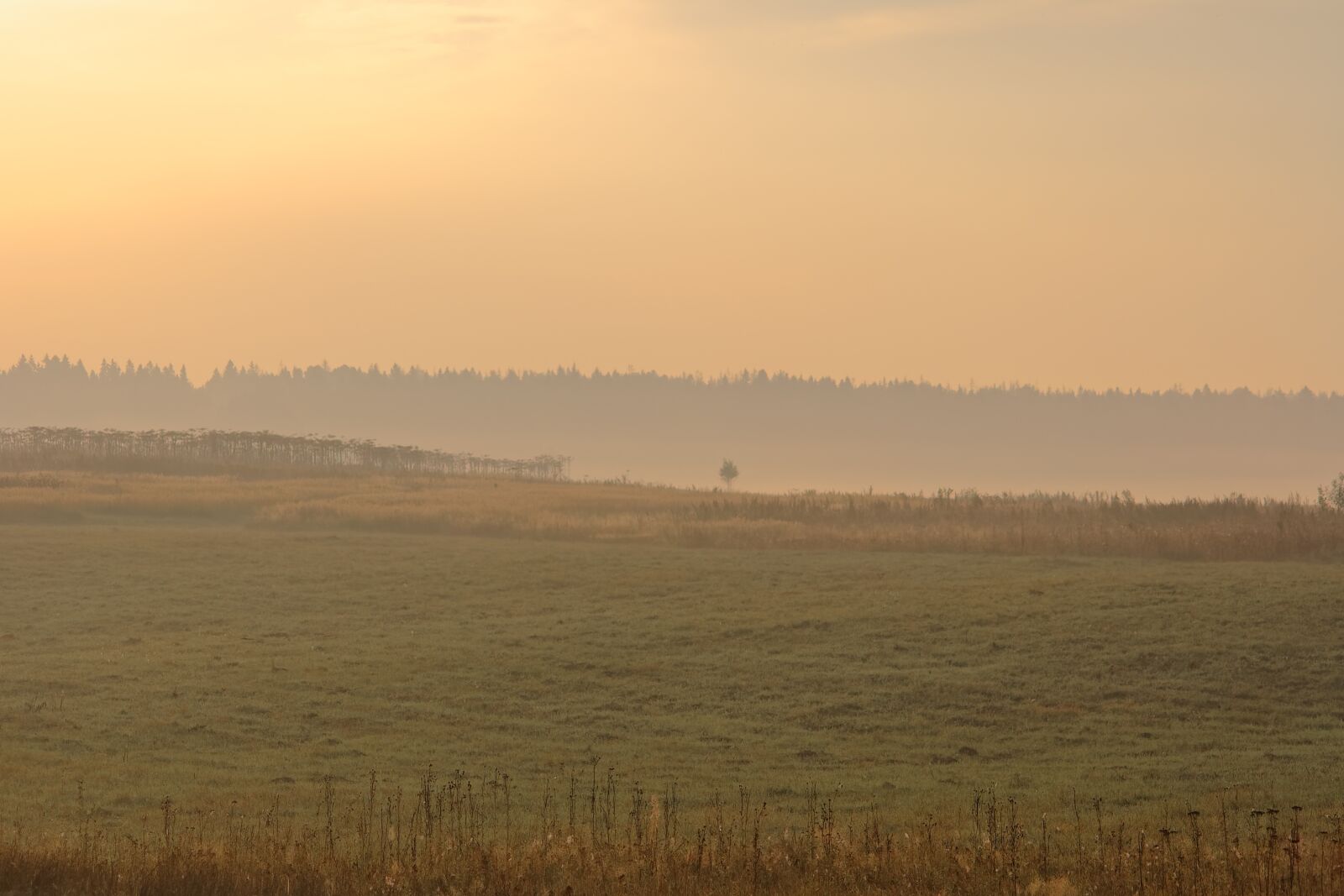 Canon EOS 1000D (EOS Digital Rebel XS / EOS Kiss F) sample photo. Morning, silence, dawn photography