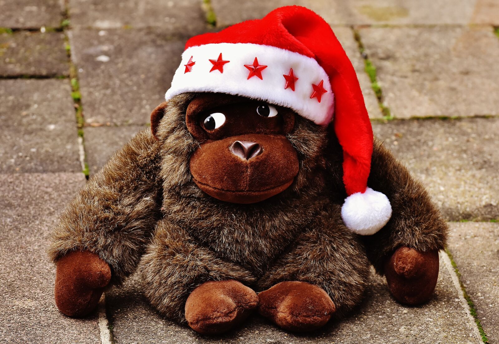Nikon D7200 sample photo. Christmas, santa hat, stuffed photography