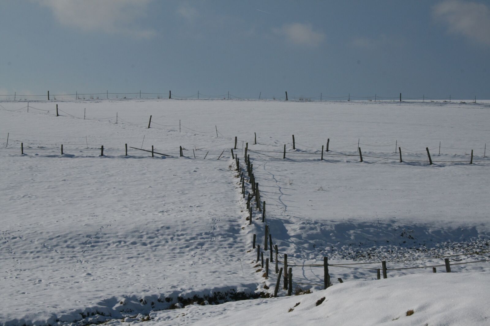Canon EOS 400D (EOS Digital Rebel XTi / EOS Kiss Digital X) sample photo. Winter, meadow, snow photography
