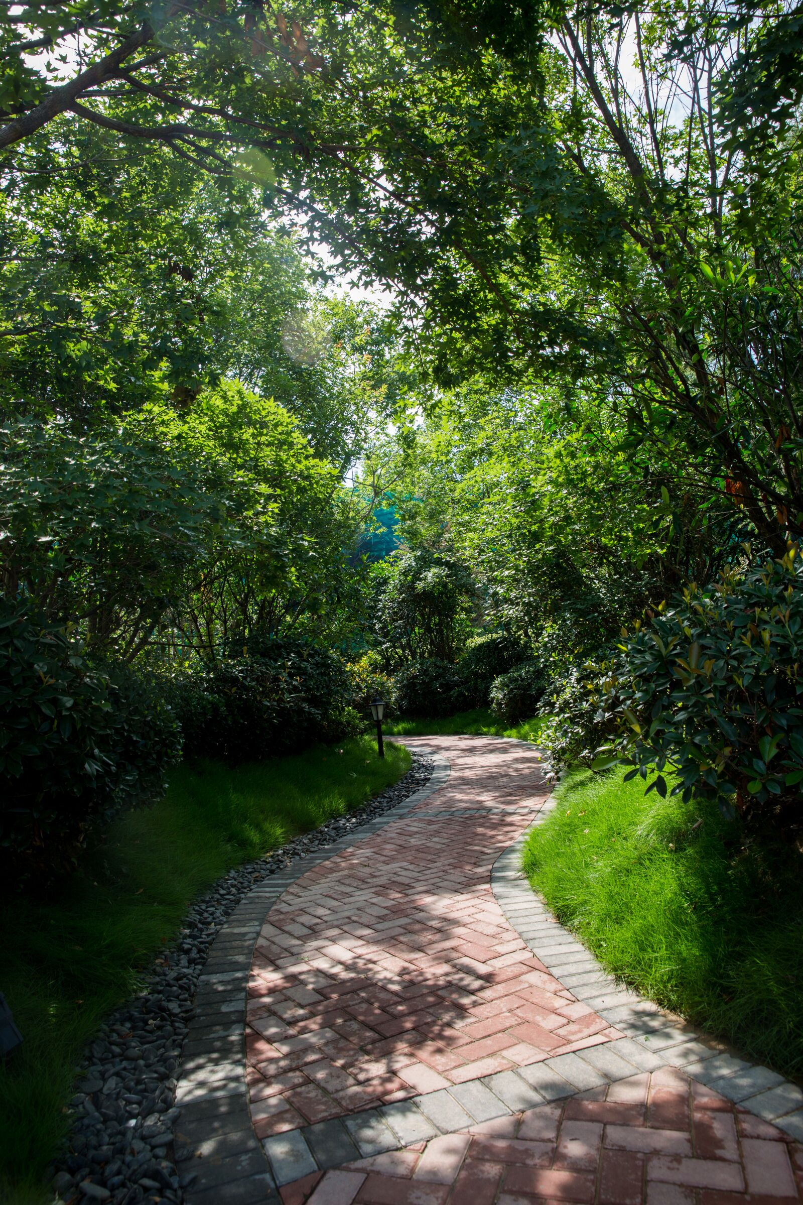 Canon EF 24-70mm F2.8L II USM sample photo. Spring, community, landscape photography