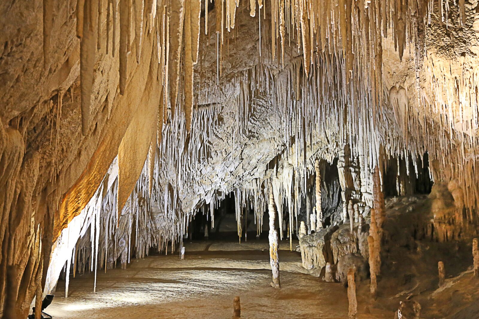 Canon EF 24-105mm F4L IS USM sample photo. Cave, stalactites, cavern photography