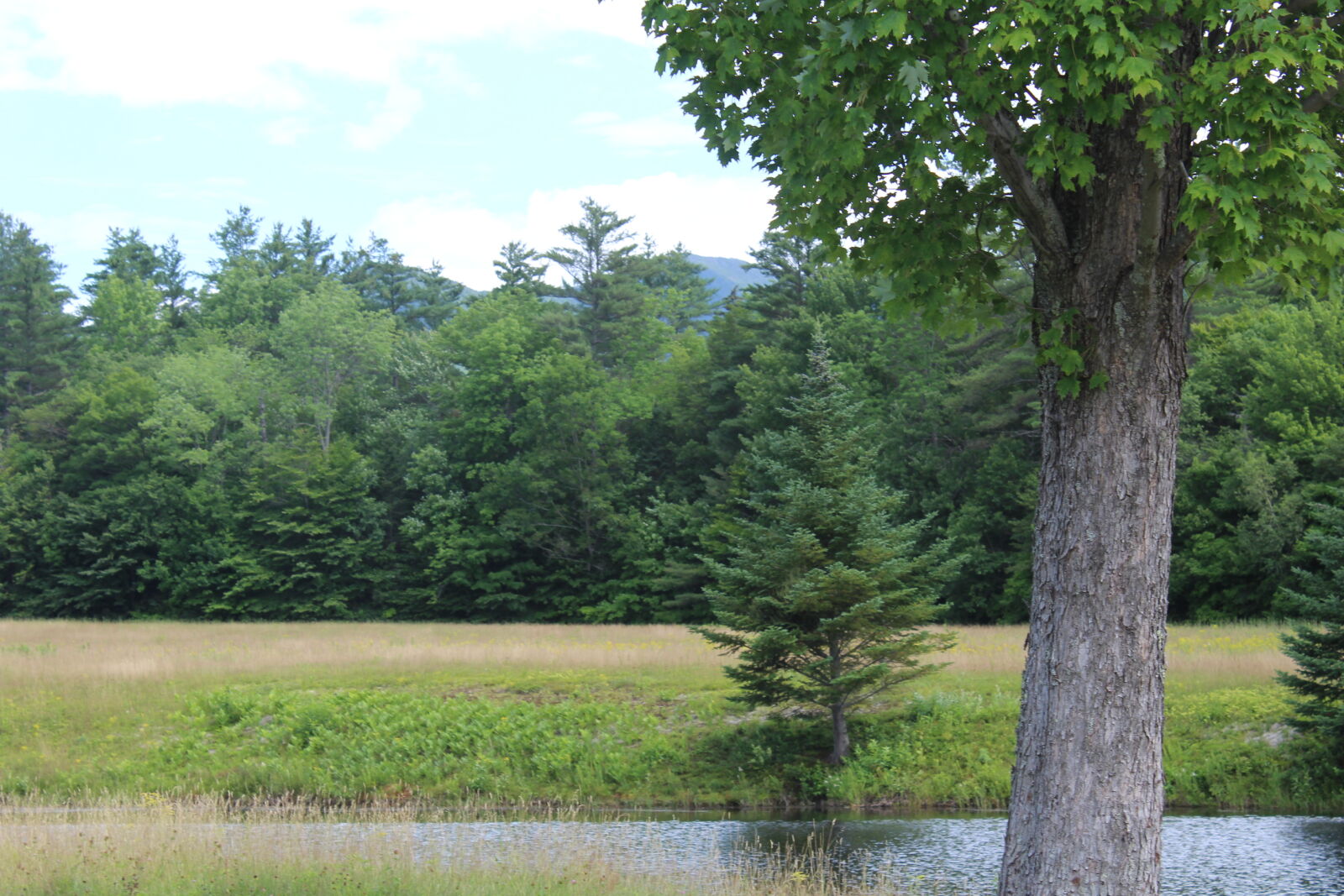 Canon EOS 1200D (EOS Rebel T5 / EOS Kiss X70 / EOS Hi) sample photo. Forest, new, hampshire, pond photography