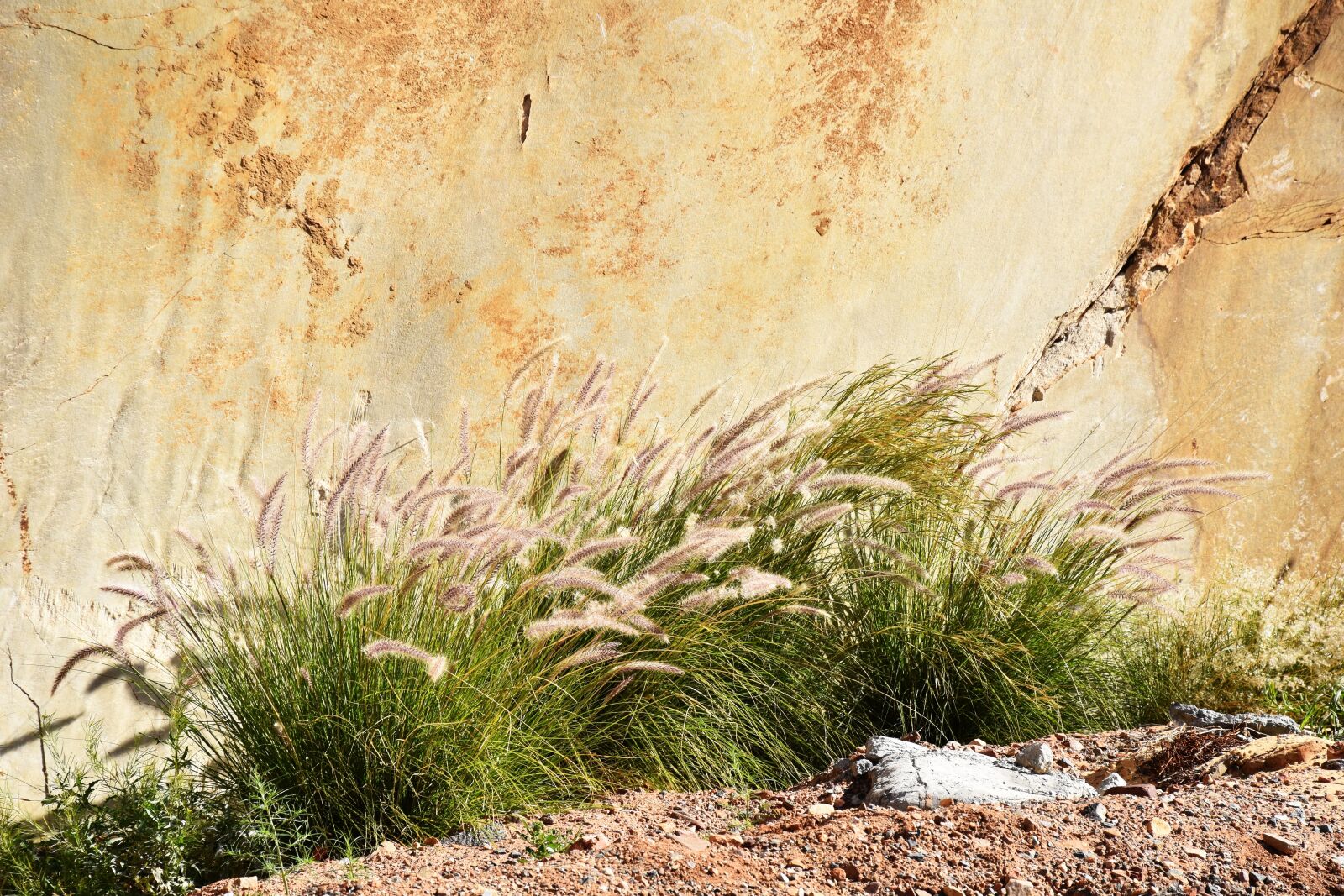 Nikon D5500 sample photo. Rocks, sand, grass photography