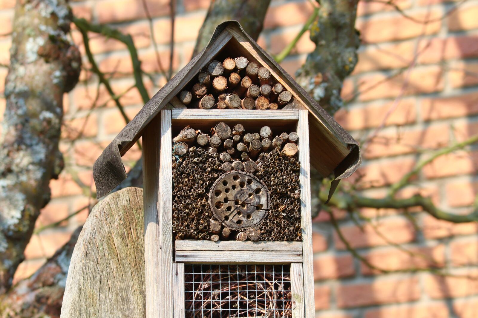 Canon EOS 200D (EOS Rebel SL2 / EOS Kiss X9) sample photo. Insect hotel, wood, shelter photography