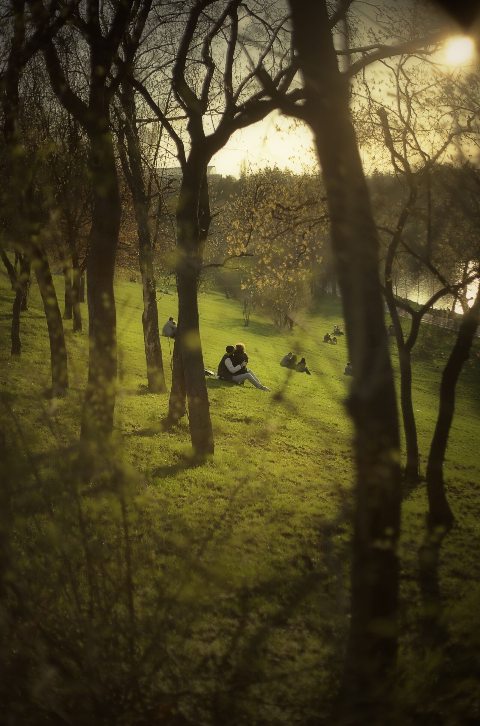Canon EF 50mm F1.8 II sample photo. Couple, grass, green photography