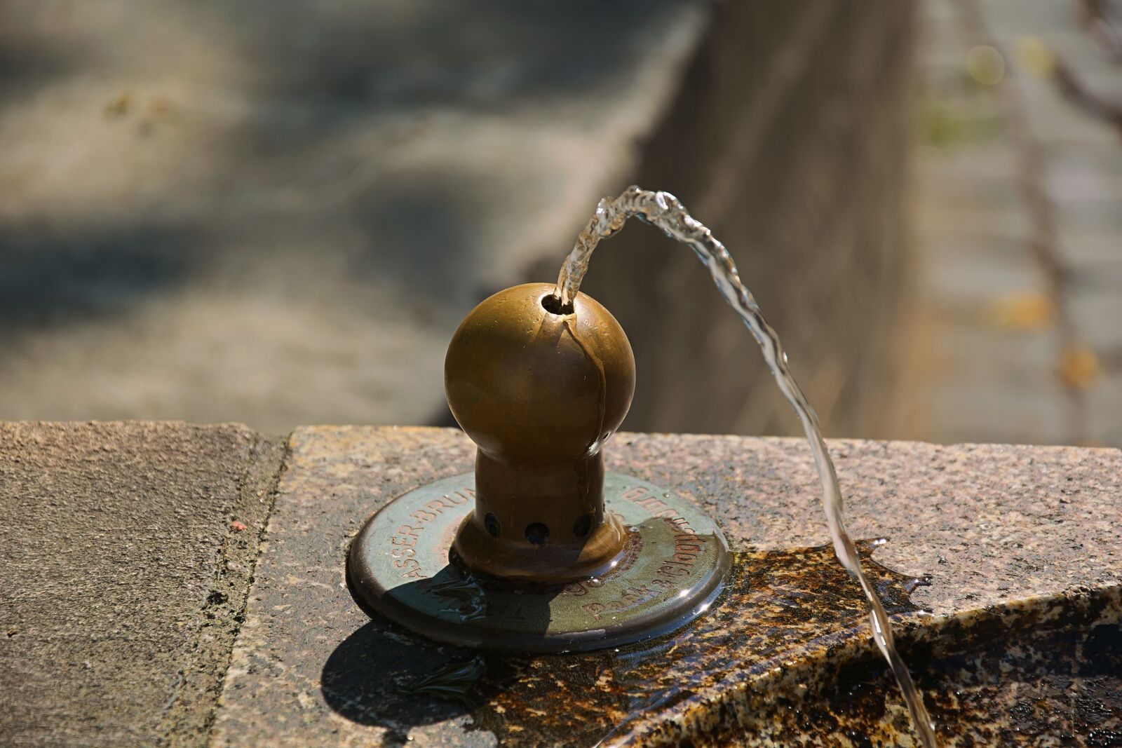 Nikon D3300 sample photo. Fountain, gargoyle, water jet photography