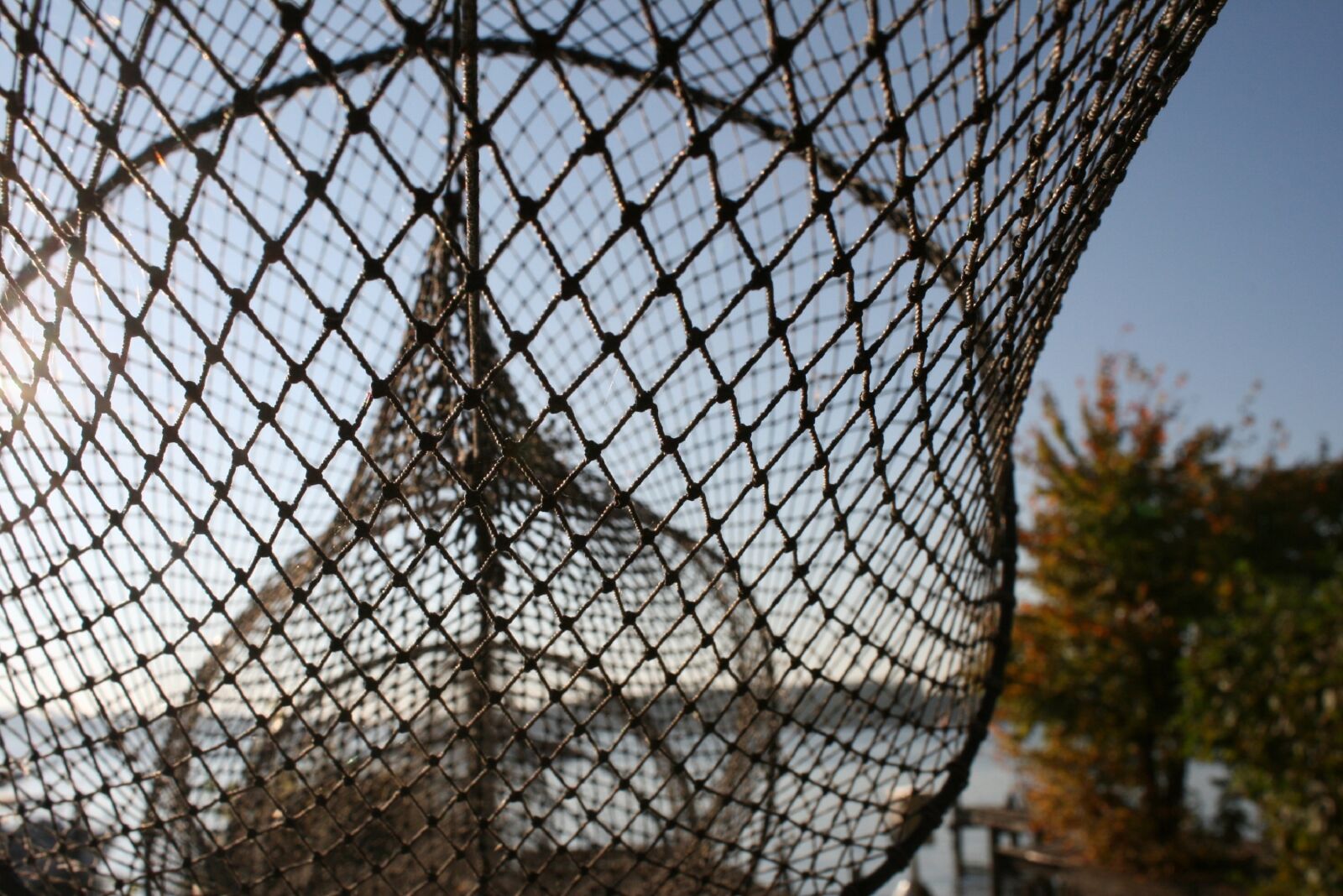 Canon EOS 400D (EOS Digital Rebel XTi / EOS Kiss Digital X) sample photo. Fishing net, web, fishing photography