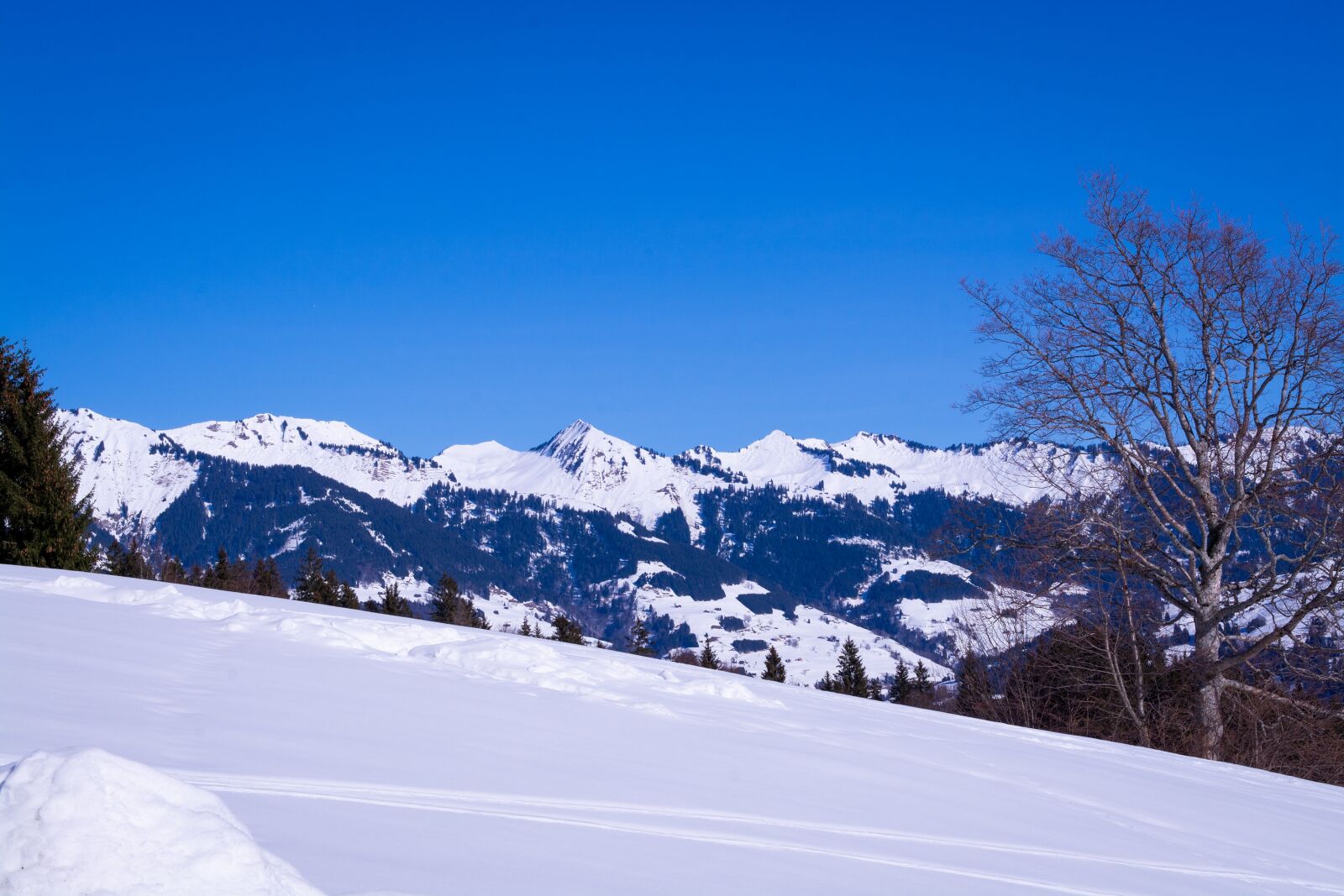 Nikon D7100 sample photo. Landscape, nature, winter photography