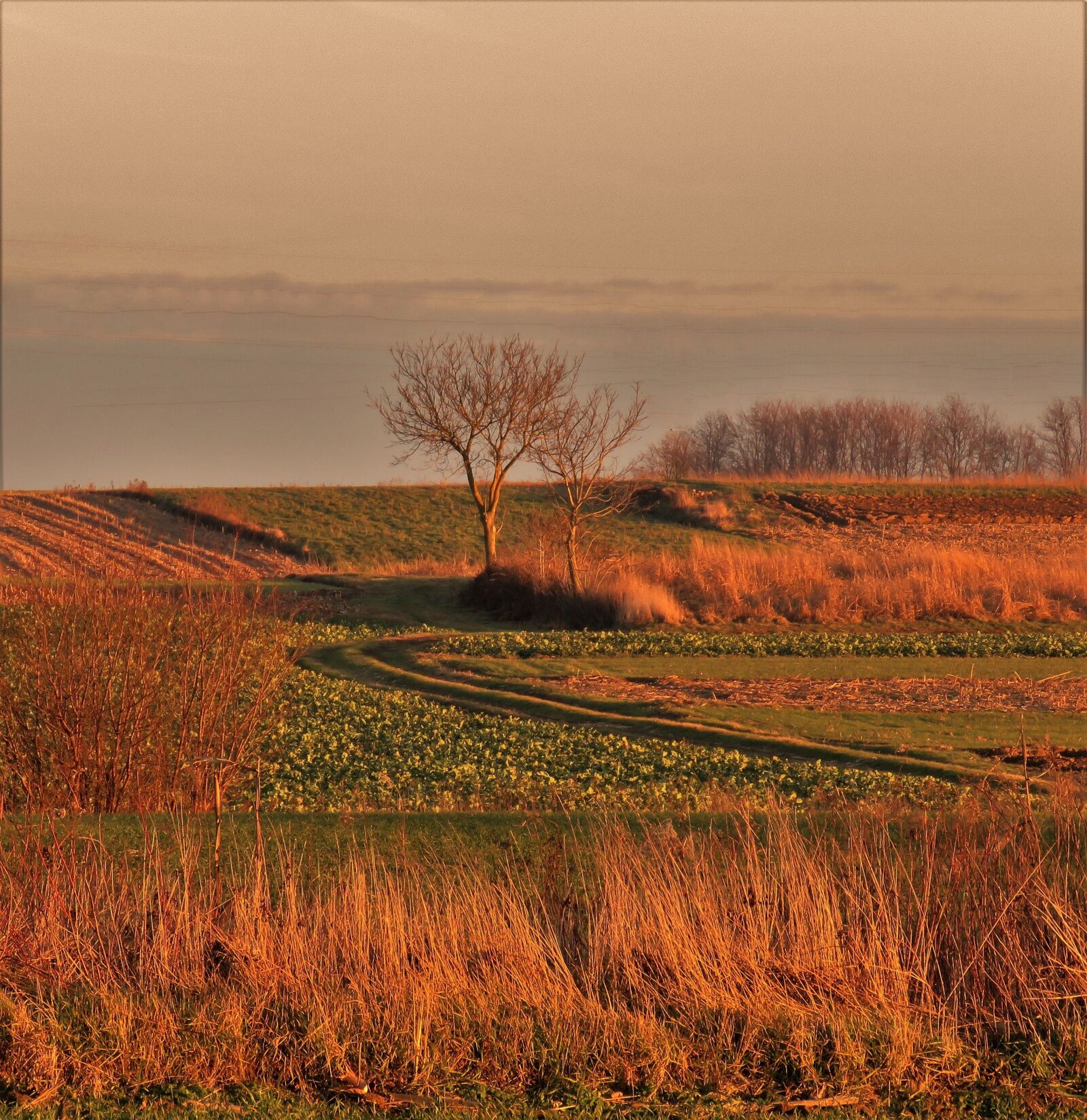 Canon PowerShot SX60 HS sample photo. Landscape, sunset, day over photography