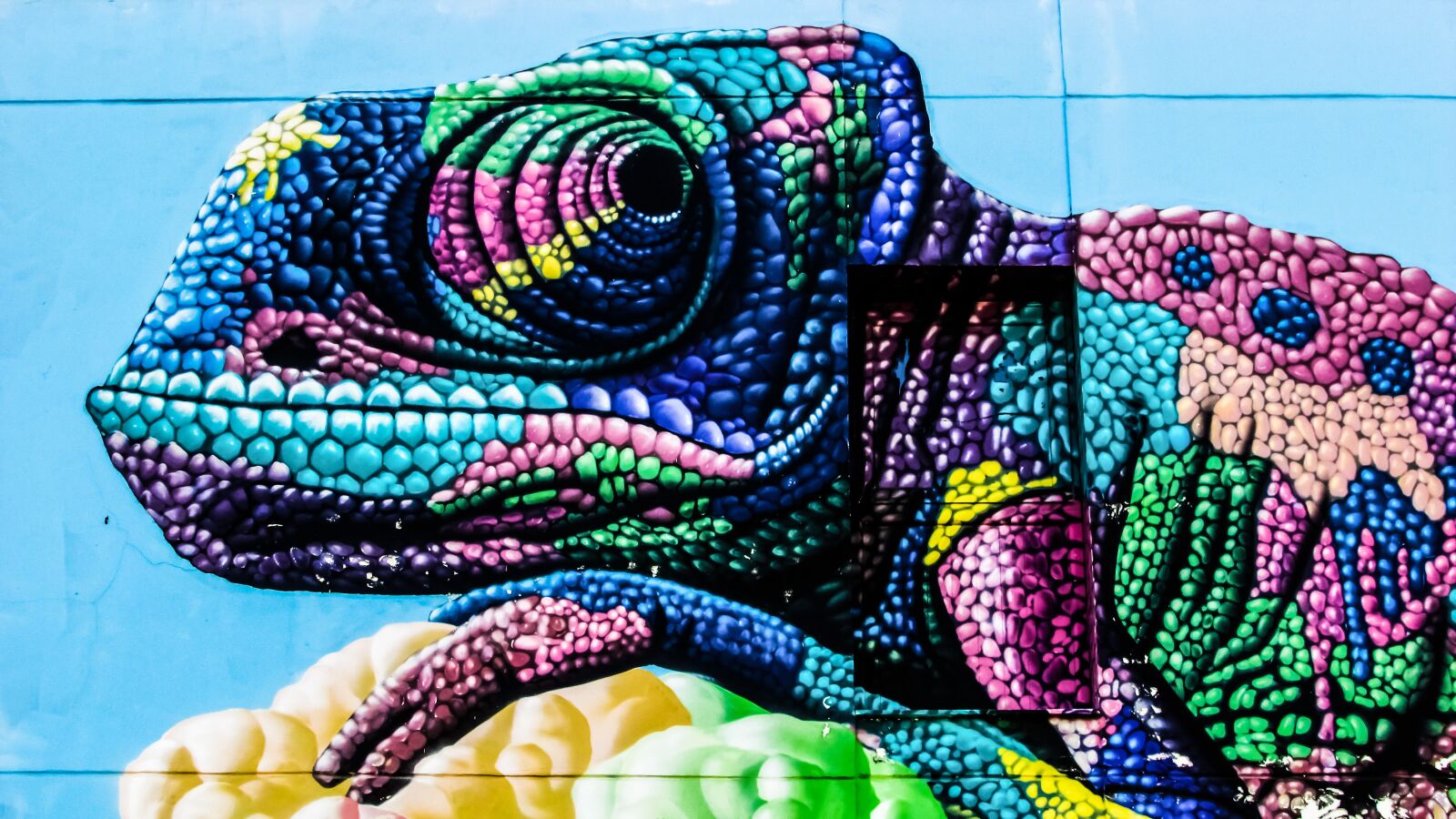 Canon PowerShot SX400 IS sample photo. Chameleon, graffiti, colour photography