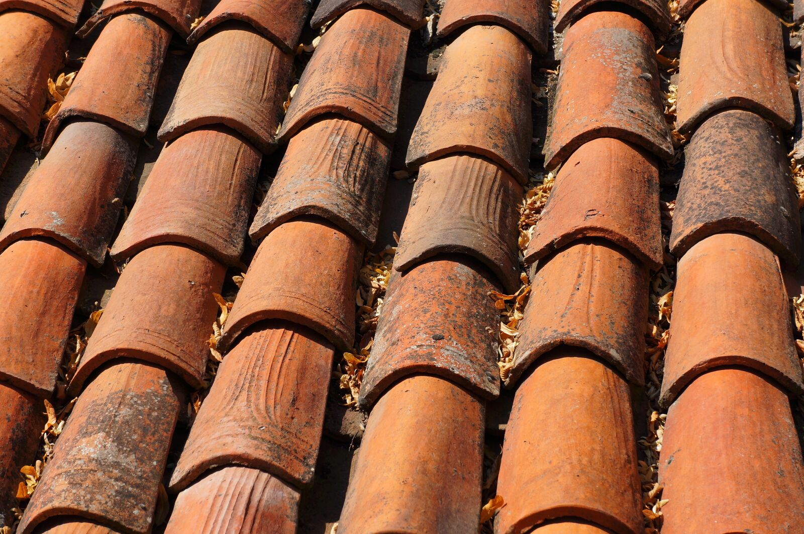 Sony Alpha NEX-5N sample photo. Roof tile, roof, construction photography