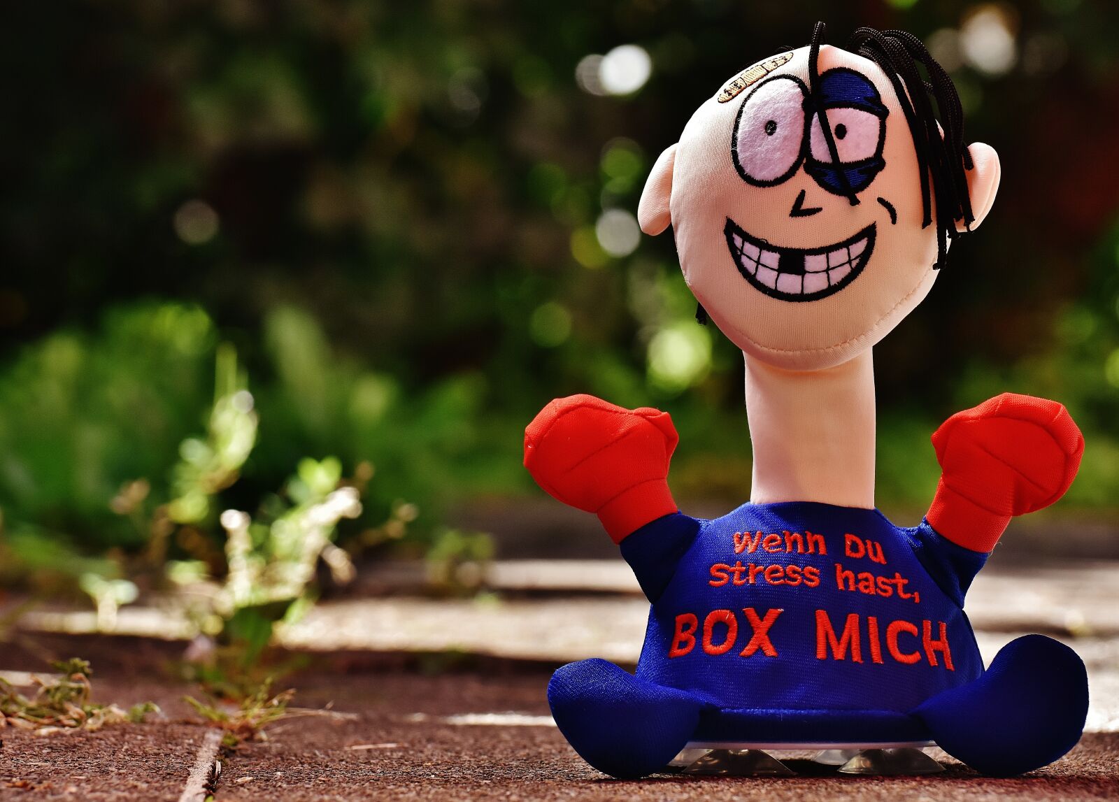 Nikon D7200 sample photo. Anti-stress-doll, box, funny photography