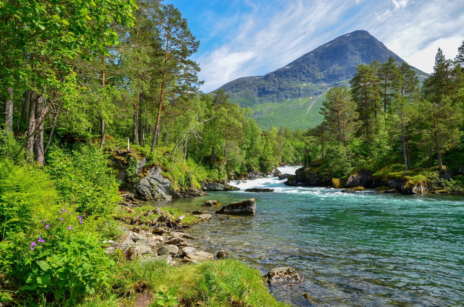 Nikon D7000 sample photo. Nature, untouched, river photography