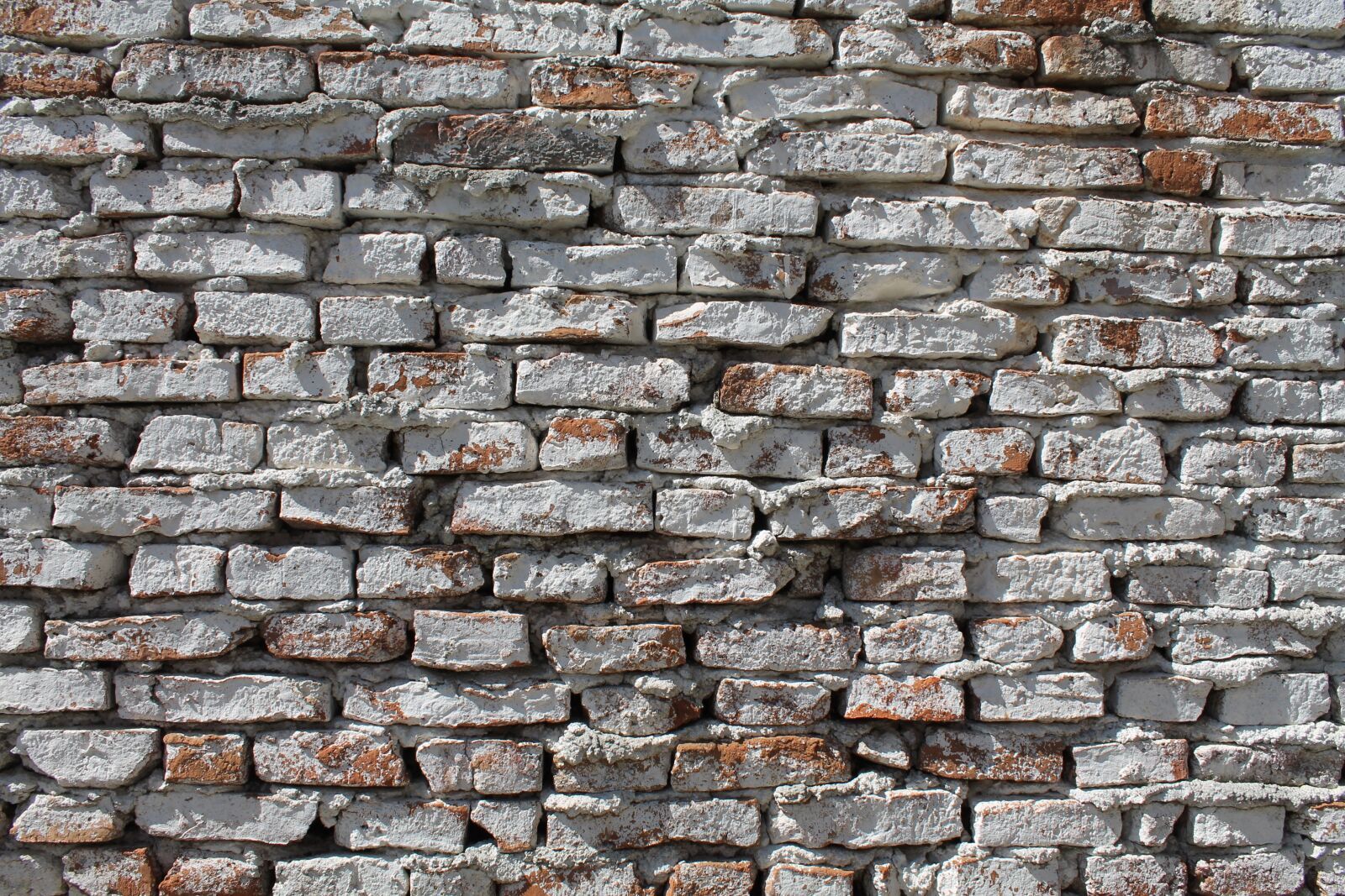 Canon EOS 1100D (EOS Rebel T3 / EOS Kiss X50) sample photo. Brick wall, whitewash, wall photography