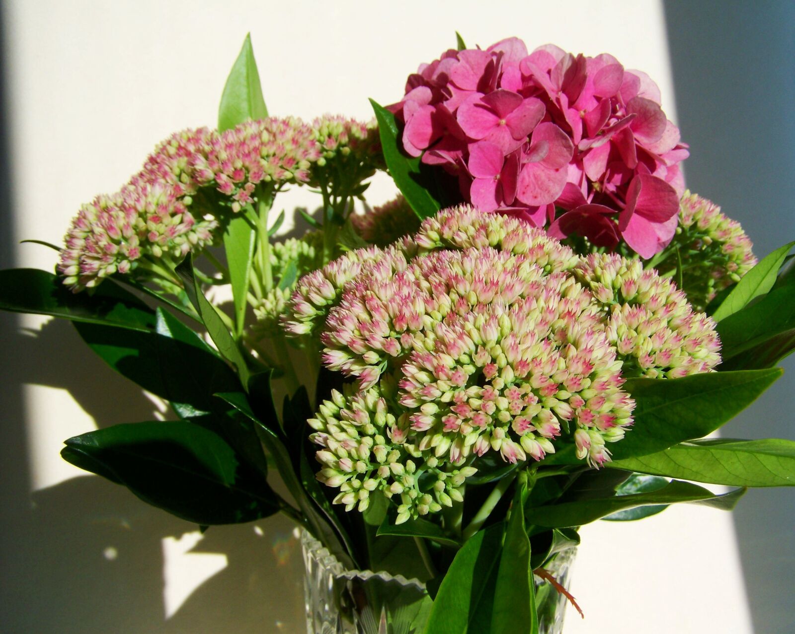 Kodak EASYSHARE ZD710 ZOOM DIGITAL CAMERA sample photo. Flower bouquet, pink flowers photography