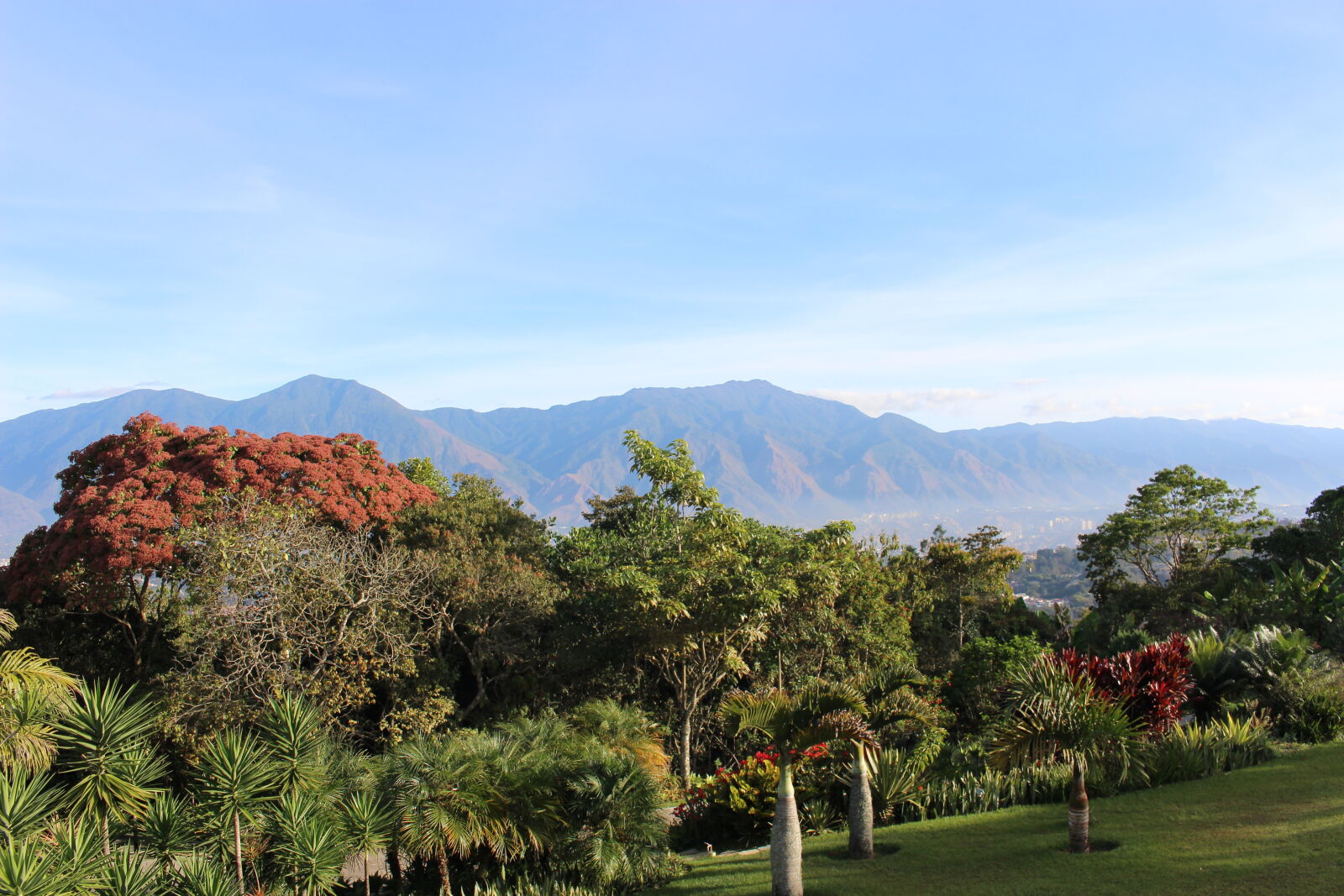 Canon EOS 100D (EOS Rebel SL1 / EOS Kiss X7) sample photo. Blue, sky, clear, sky photography