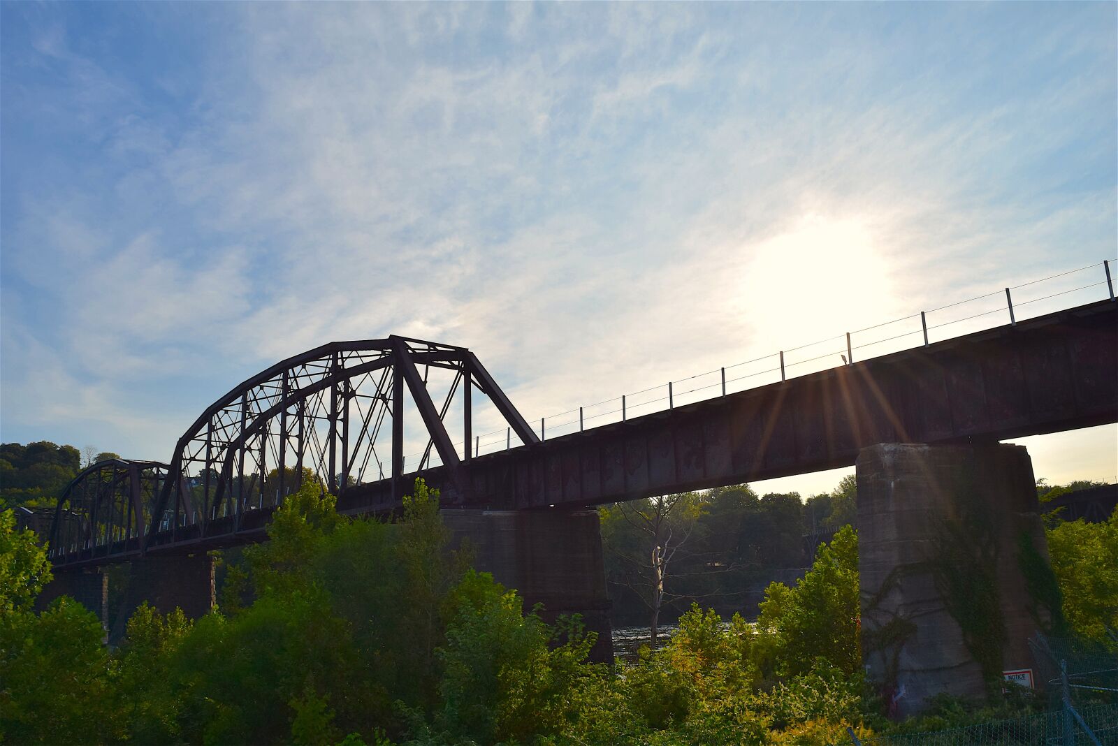 Nikon D3300 sample photo. Bridge, sunrise, trees photography