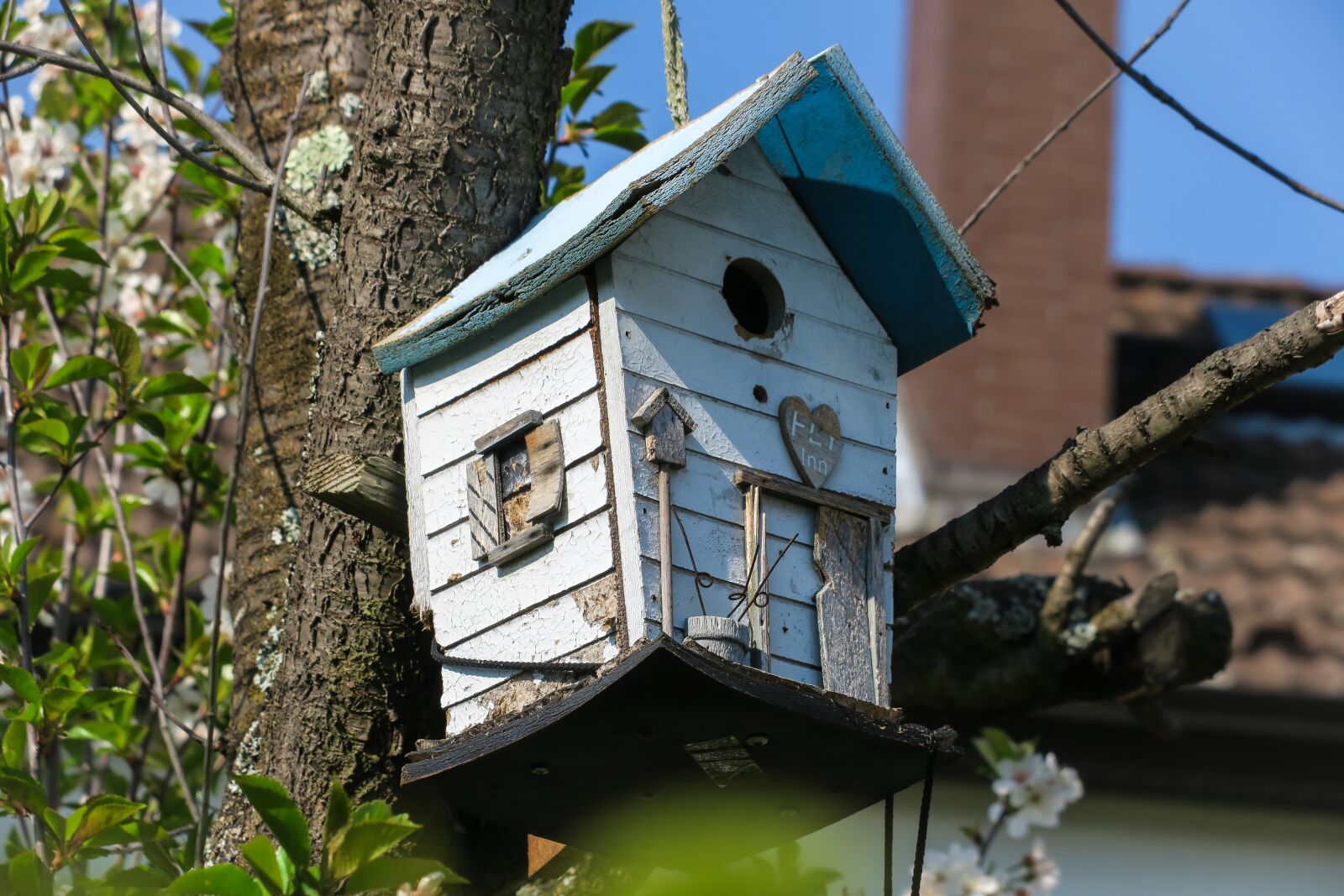 Canon PowerShot G3 X sample photo. Bird feeder, aviary, house photography