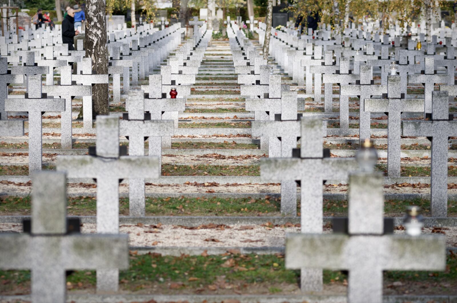Nikon D5100 sample photo. Graves, cross, lined up photography