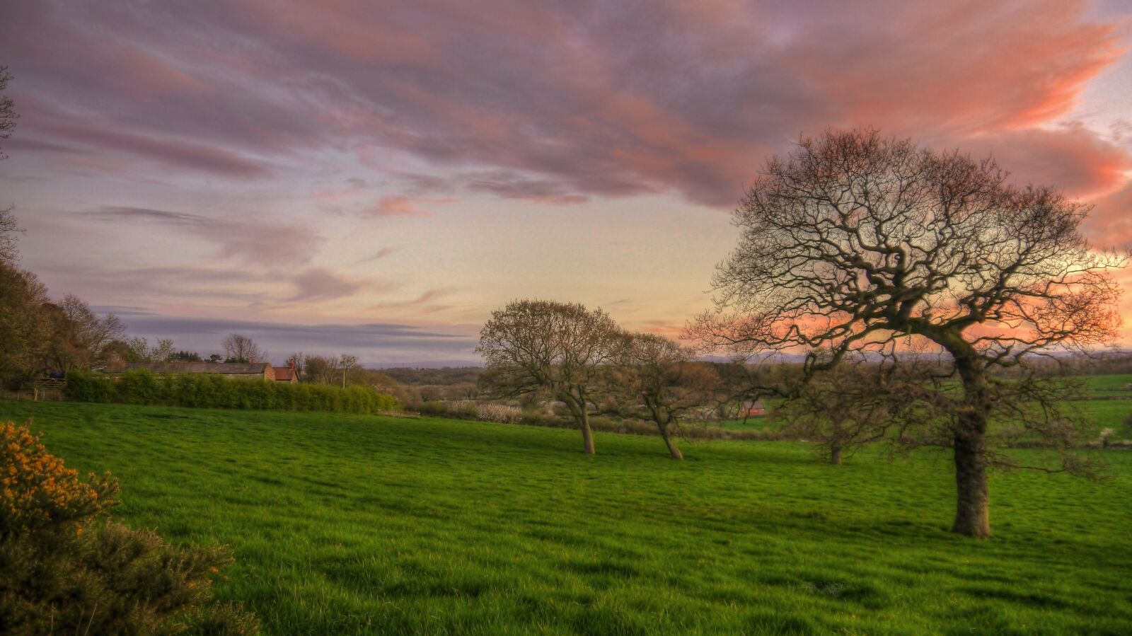 Panasonic Lumix DMC-G5 sample photo. Landscape, tree, dawn photography