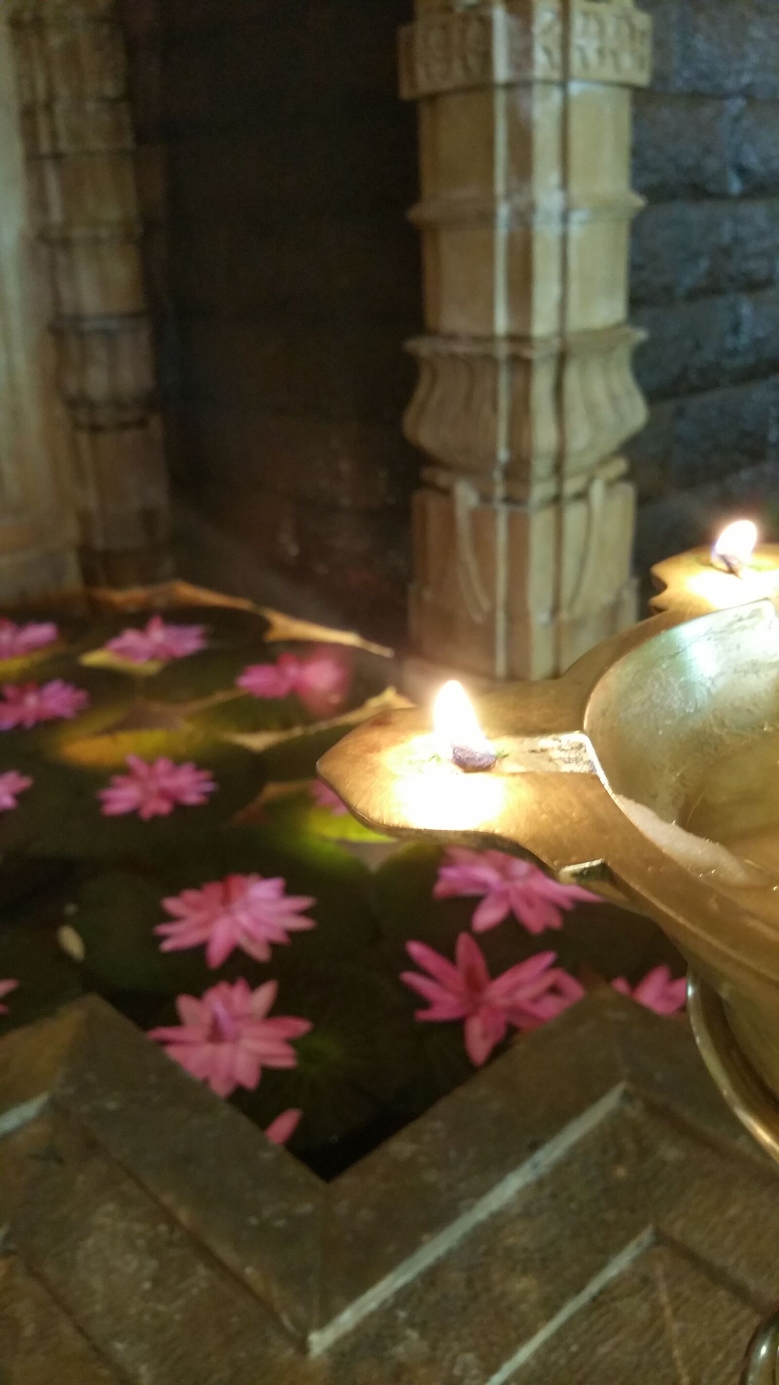 Samsung Galaxy Note4 sample photo. Lights, lotus photography
