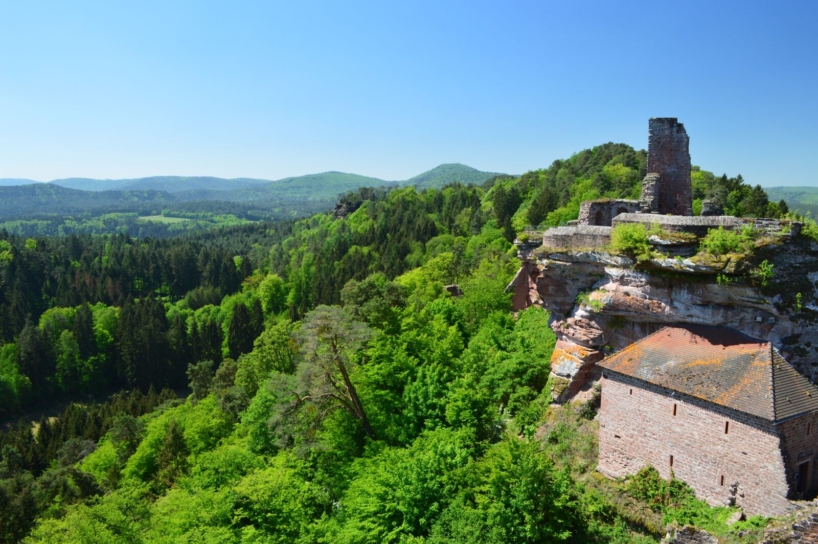 Nikon D3200 sample photo. Castle, keep of alt-dahn photography