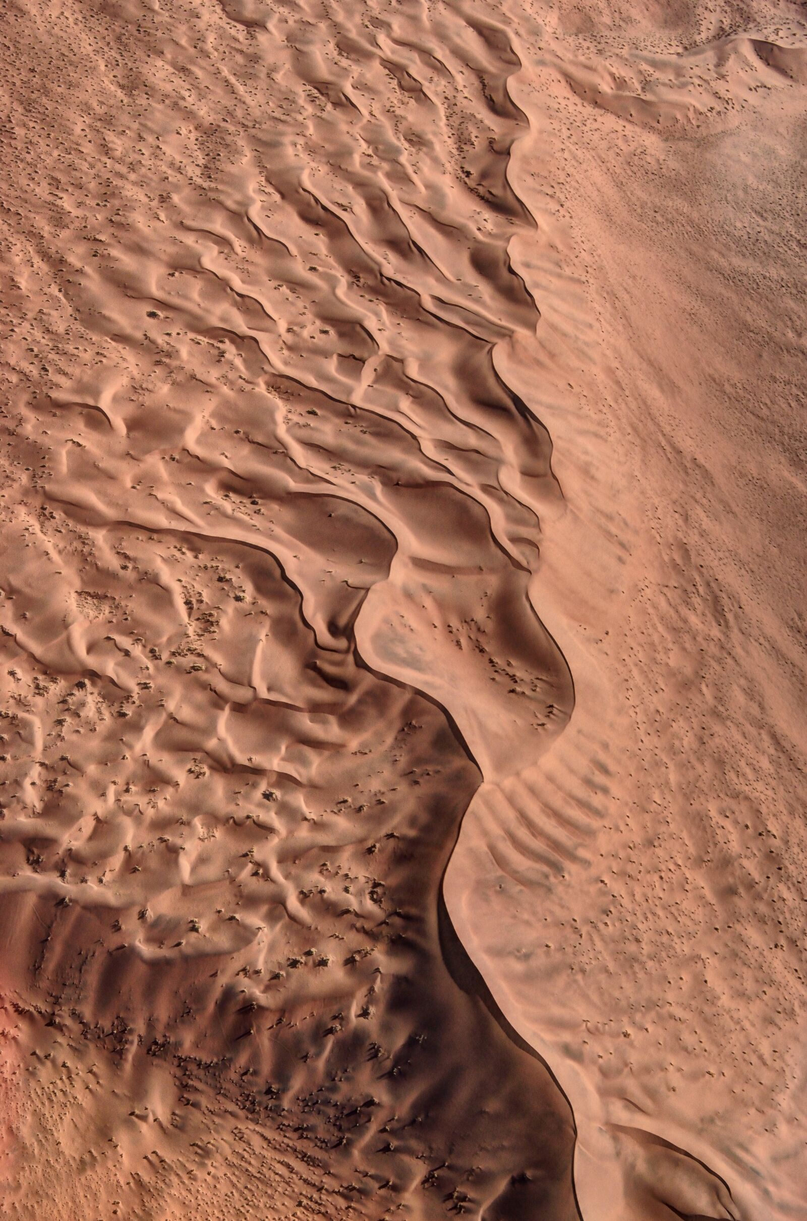 Nikon D5500 sample photo. Namibia, africa, nature photography
