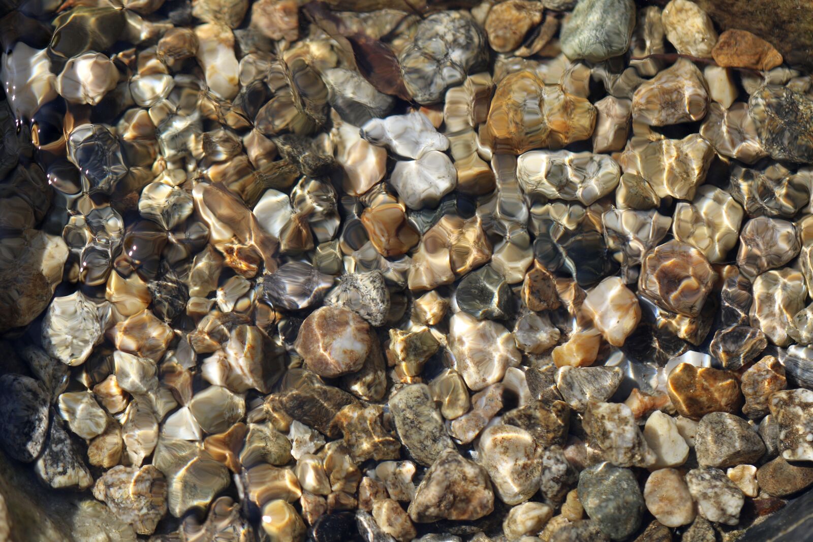 Canon EOS 7D Mark II sample photo. Nature, landscape, water photography