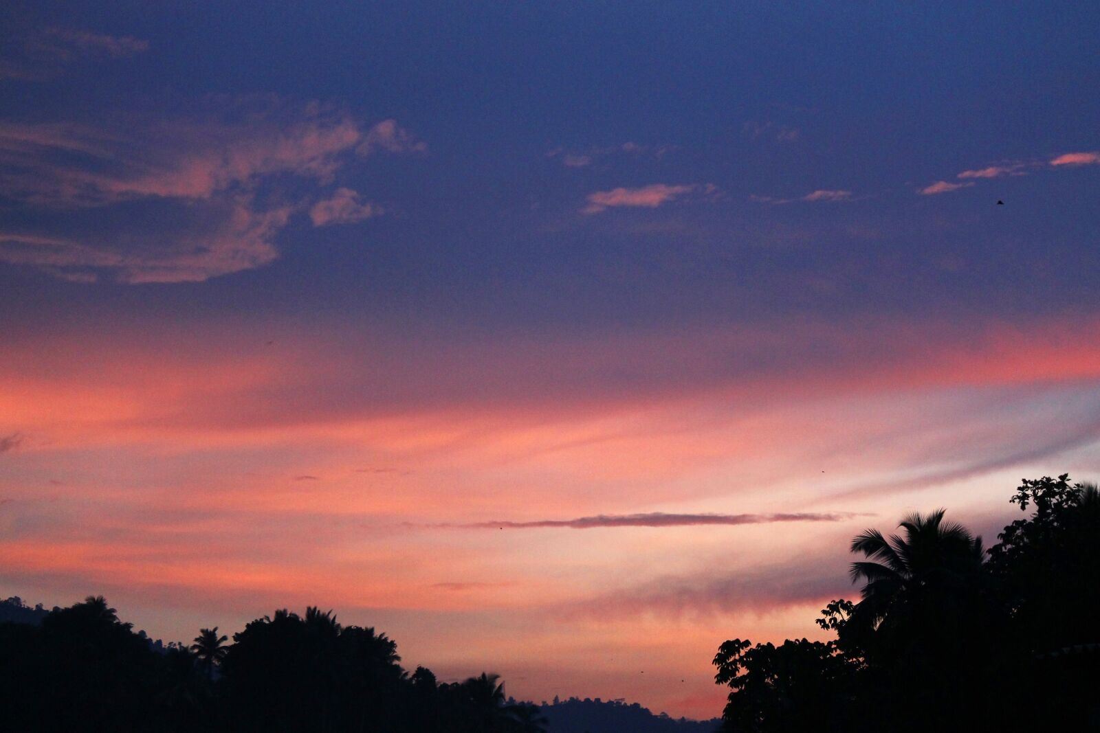 Canon EOS 1100D (EOS Rebel T3 / EOS Kiss X50) sample photo. Landscape, gampola, silhouette photography