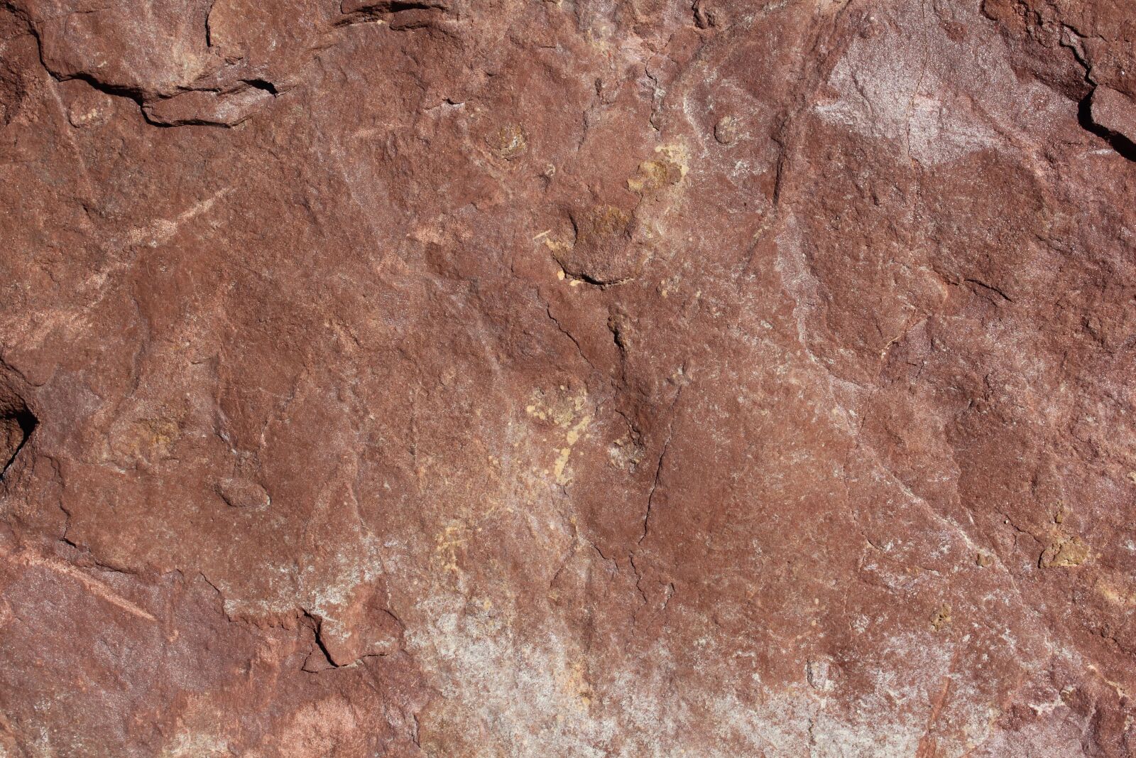 Canon EOS 550D (EOS Rebel T2i / EOS Kiss X4) sample photo. Texture, stone, brown photography