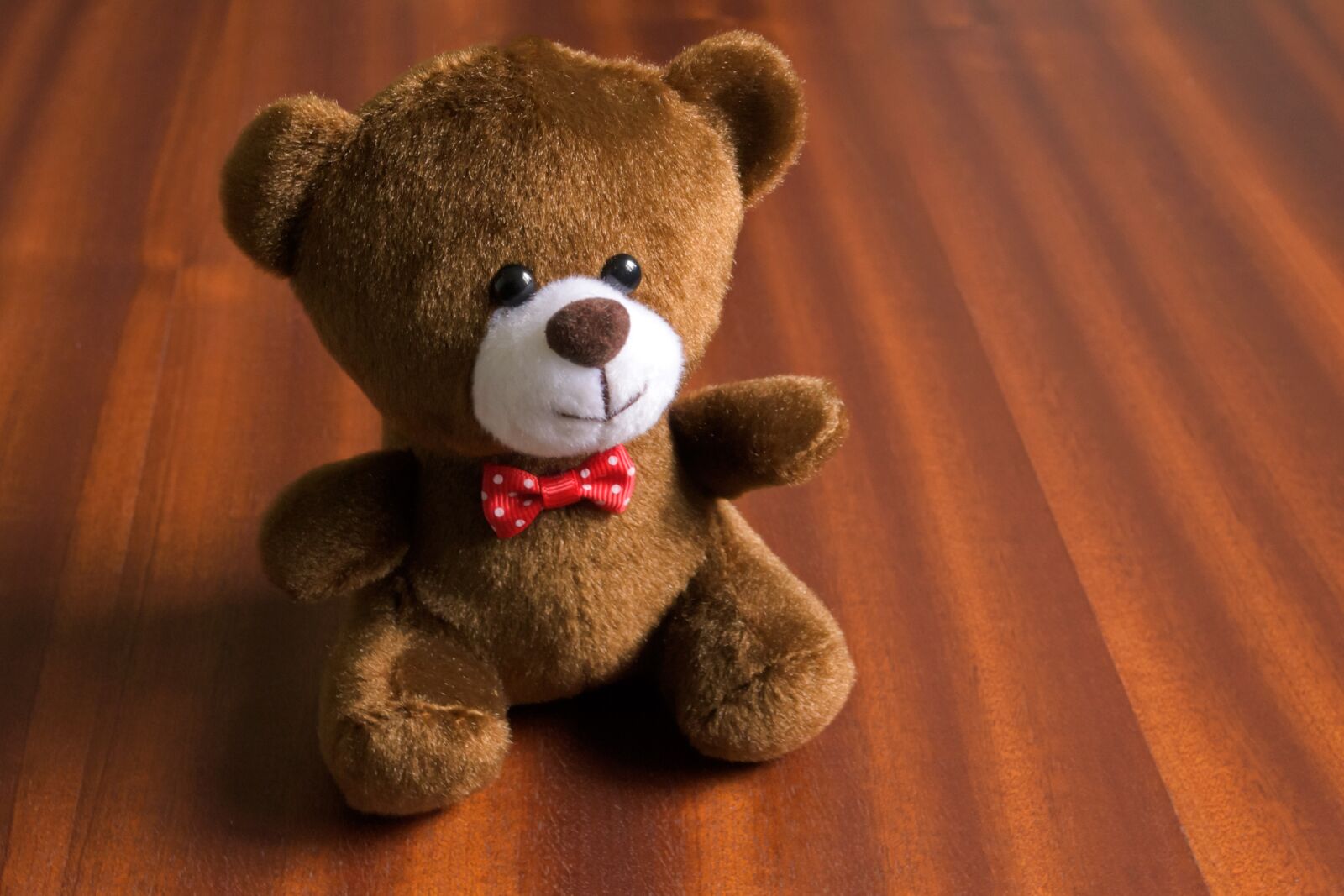 Nikon D3100 sample photo. Soft toy, children's toy photography