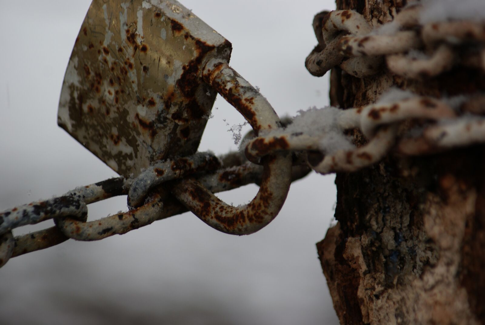 Sony Alpha DSLR-A230 sample photo. Lock, forbidden, chain photography