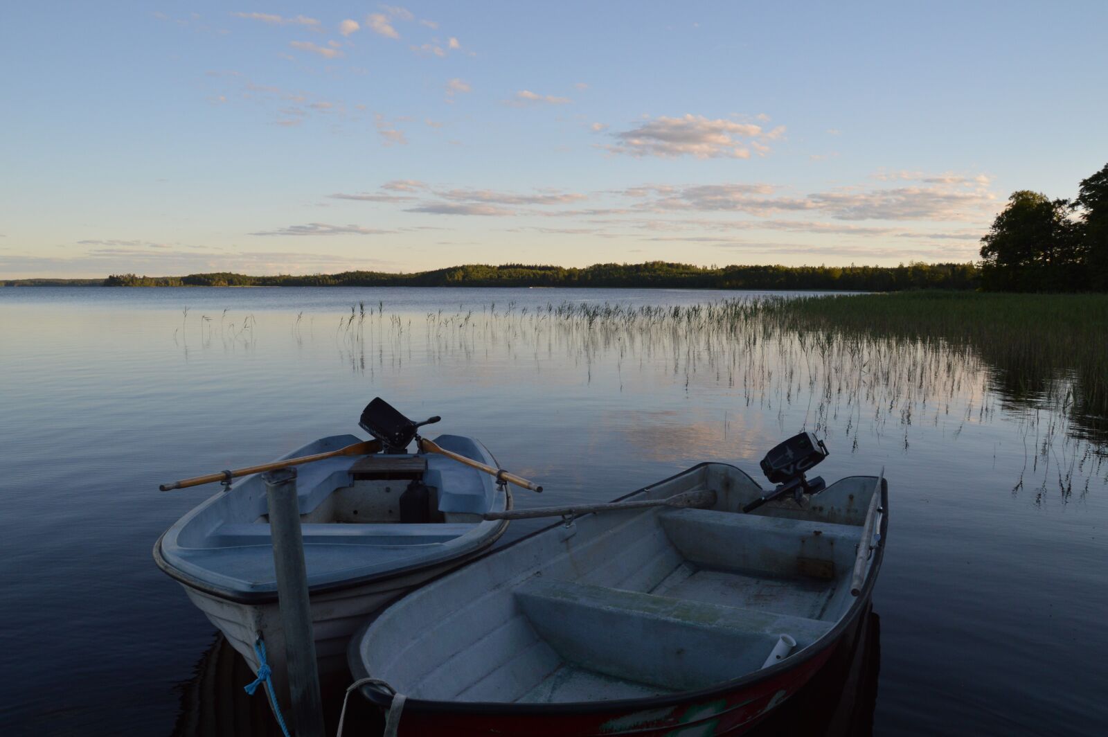 Nikon D3200 sample photo. Sweden, evening sun, silence photography