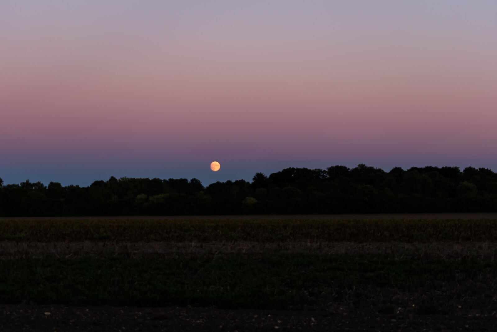 Nikon D5300 sample photo. Moonrise, mood, moon photography
