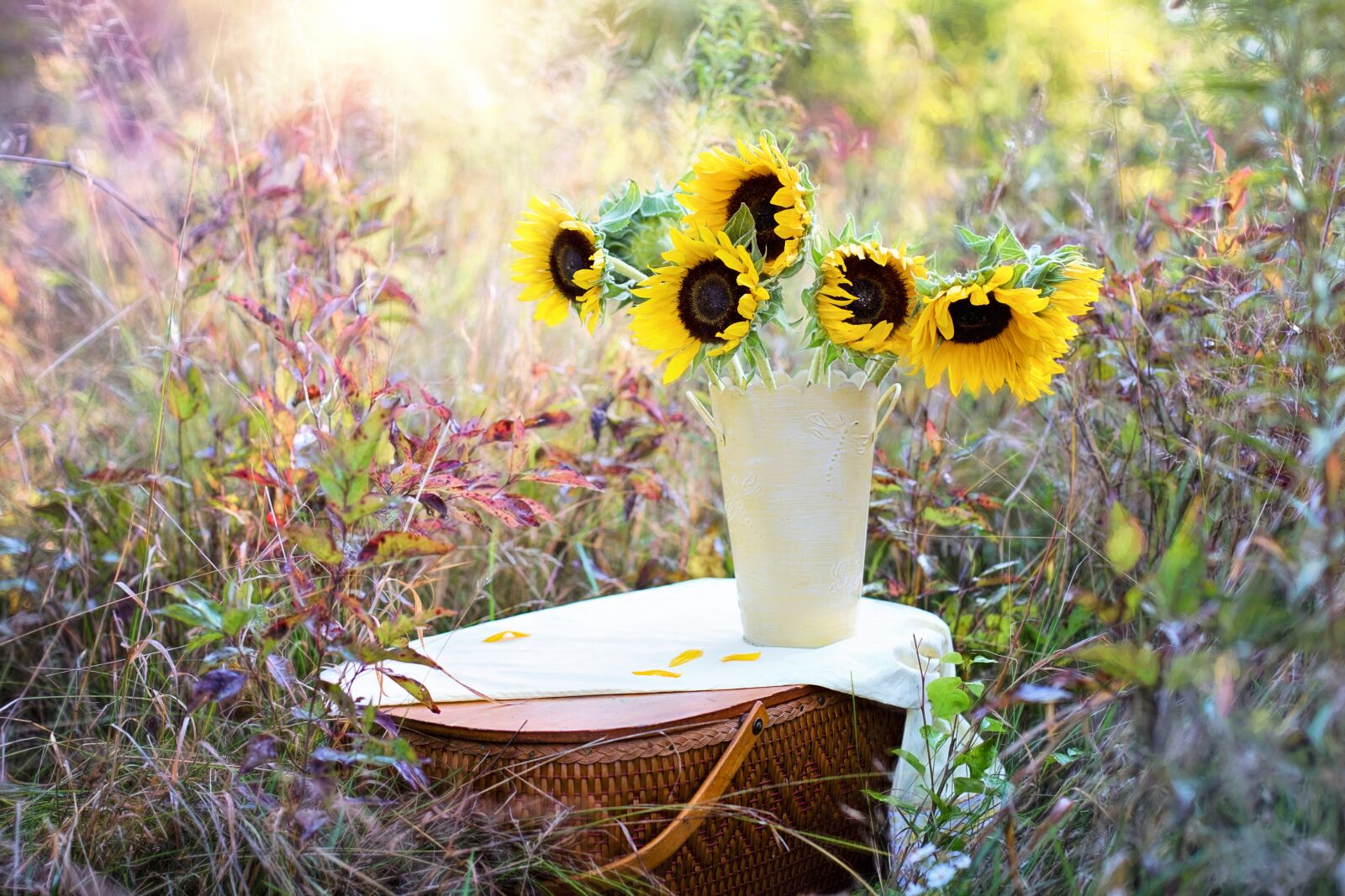 Canon EF 50mm F1.4 USM sample photo. Sunflowers, vase, fall photography