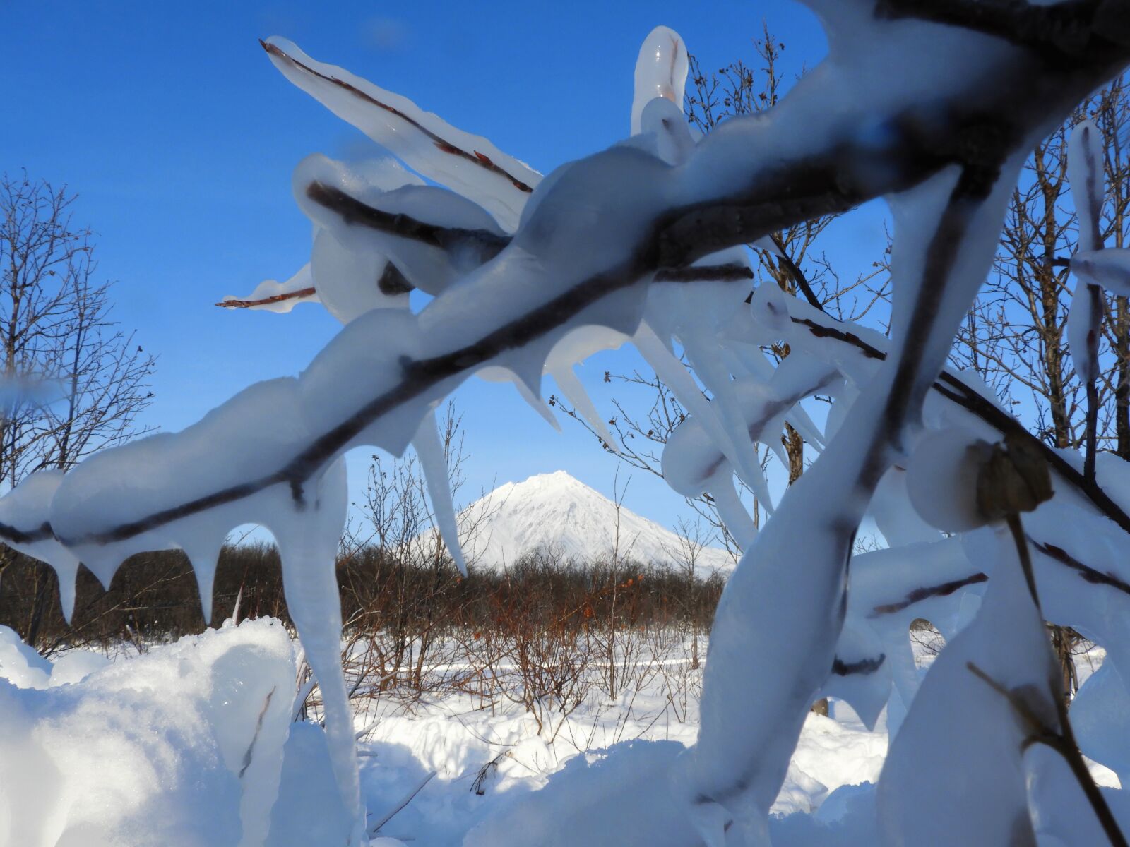 Nikon Coolpix B700 sample photo. Koryaksky volcano, kamchatka, winter photography