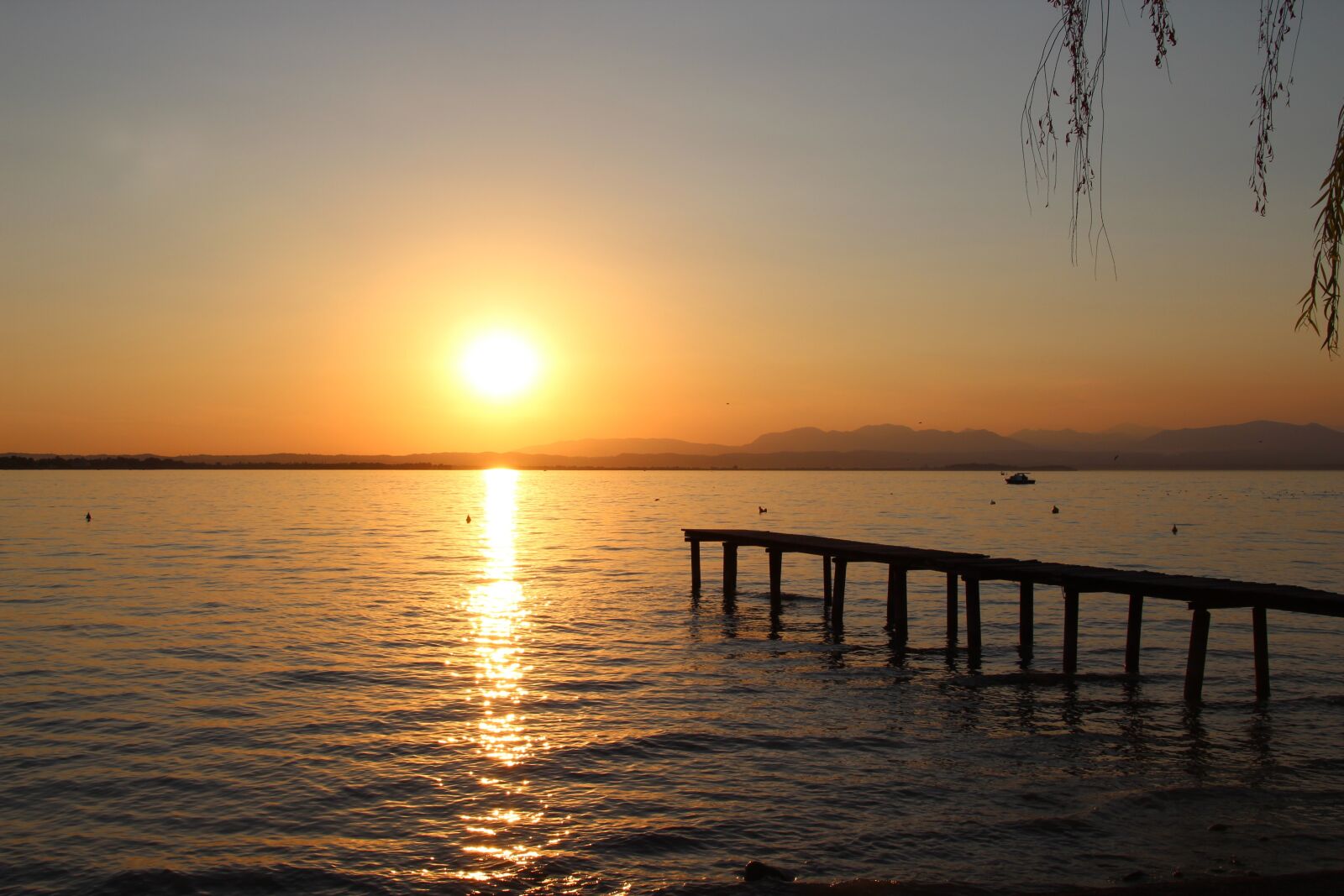 Canon EOS 1300D (EOS Rebel T6 / EOS Kiss X80) + Canon TS-E 90mm F2.8 Tilt-Shift sample photo. Lake garda, sunset, italy photography