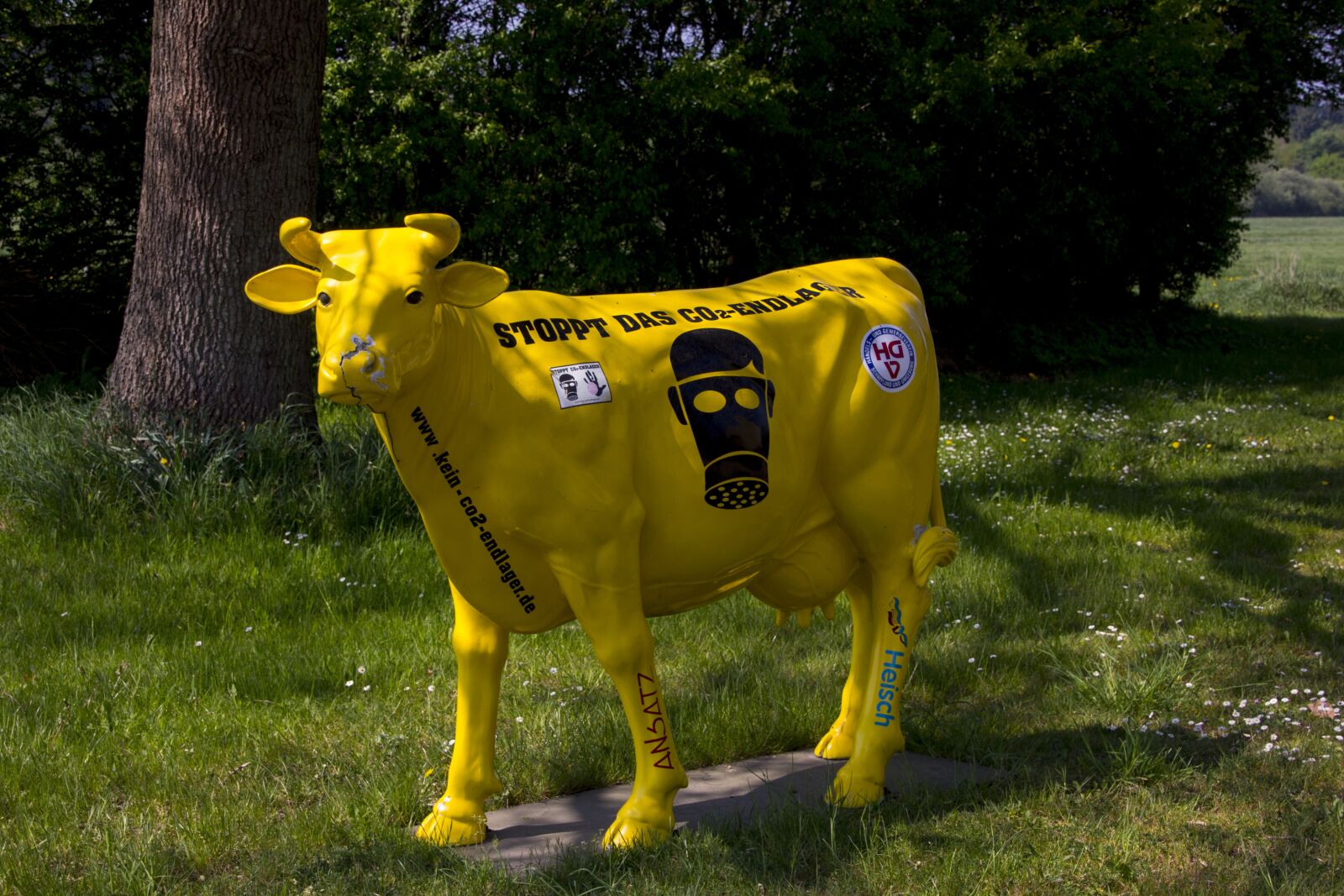 Canon EOS 60D sample photo. Deco, cow, show me photography