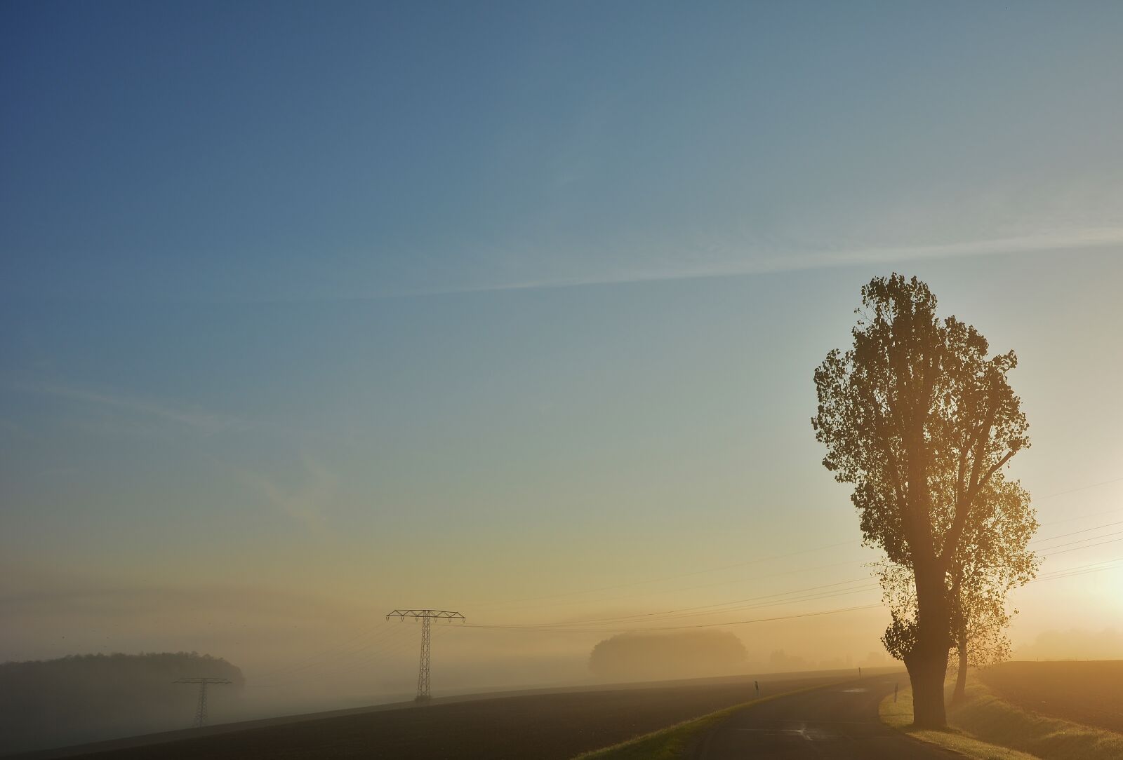 Nikon D5200 sample photo. Fog, sunrise, trees photography