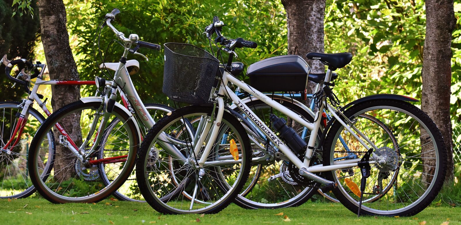 Nikon D7200 sample photo. Bicycles, cycle, bike photography