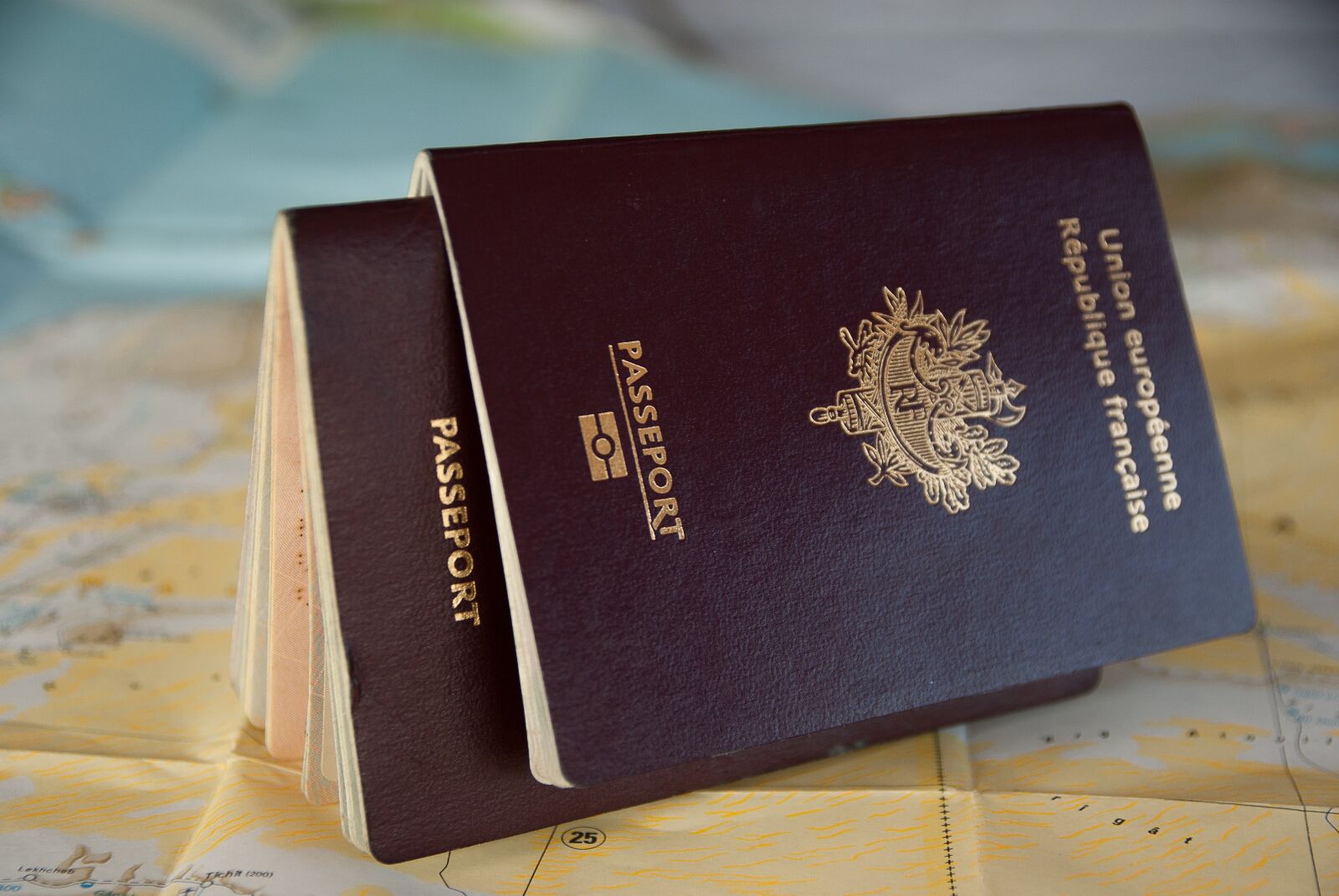 Pentax K10D sample photo. Passport, border, customs photography