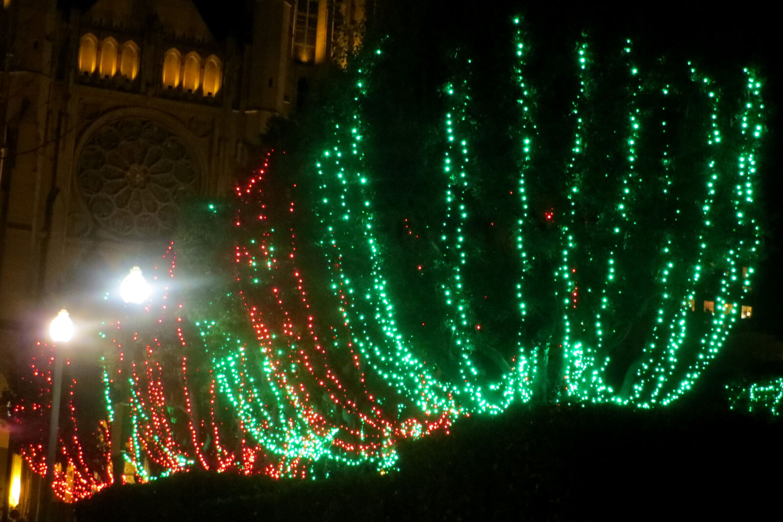 Canon PowerShot SX260 HS sample photo. Background, christmas, church, design photography