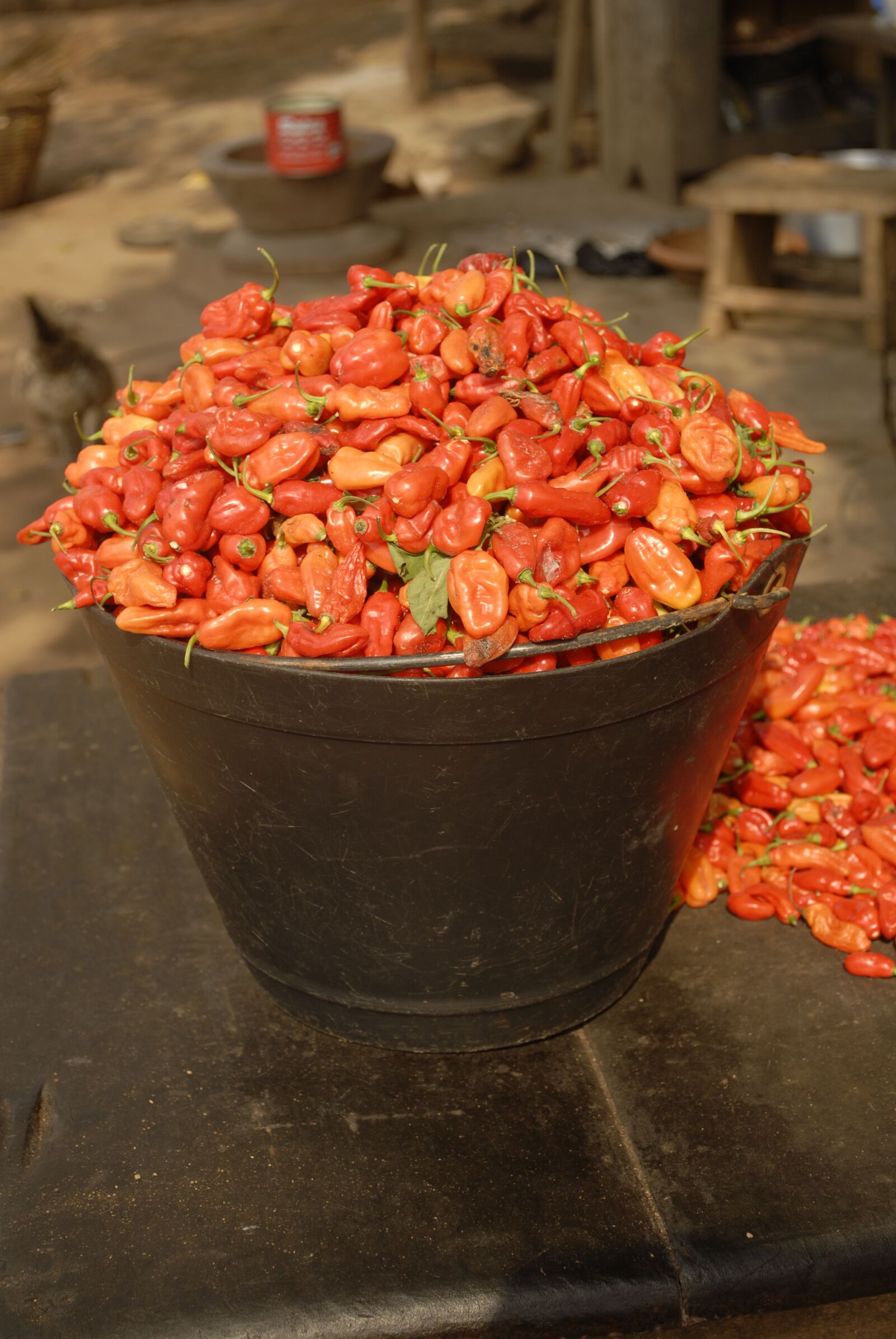 Nikon D200 sample photo. Chill, red, food photography