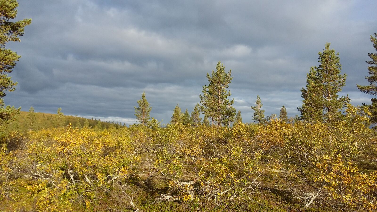 Samsung Galaxy A3 sample photo. Finland, lapland, arctic circle photography